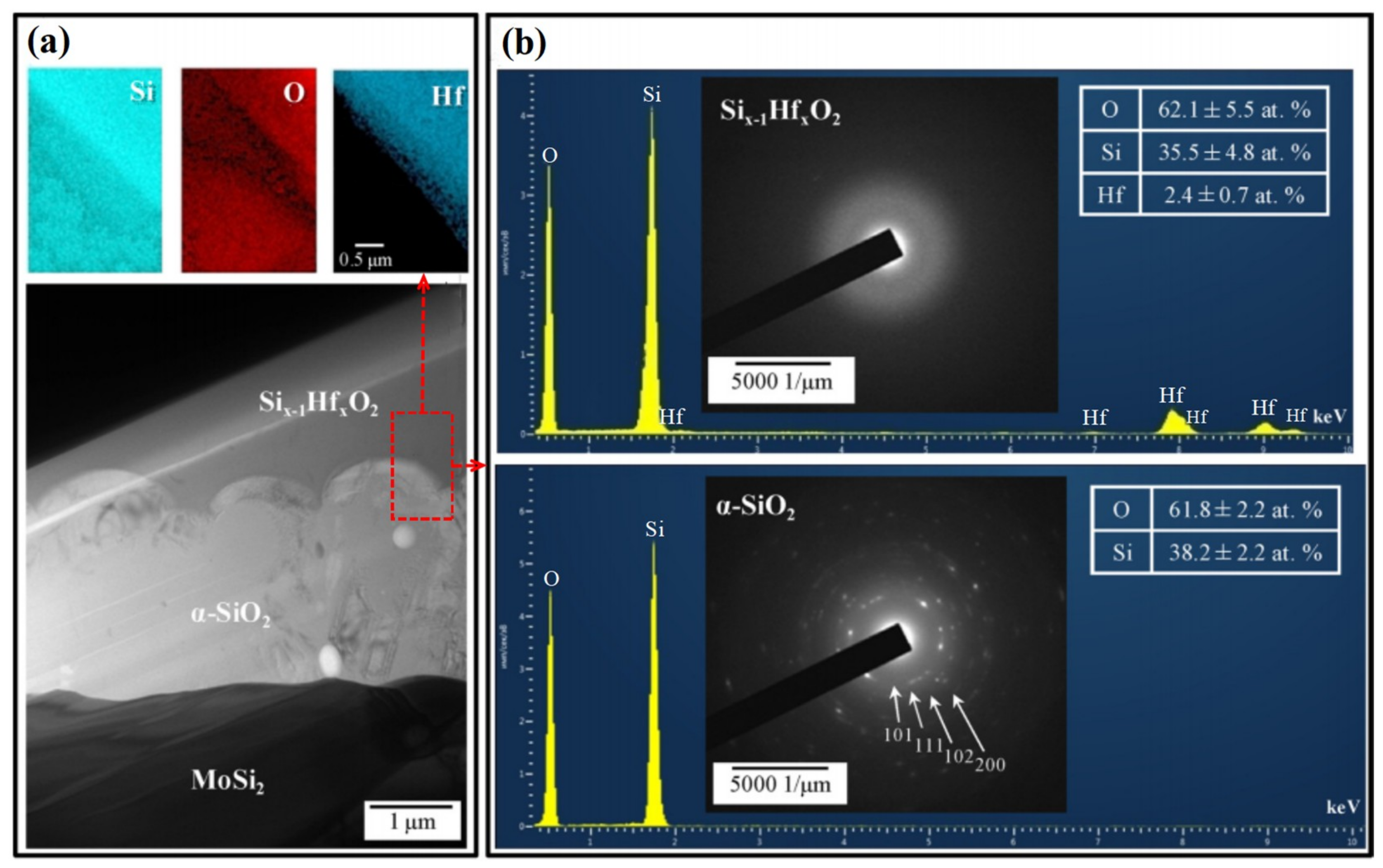 Coatings 11 01144 g005
