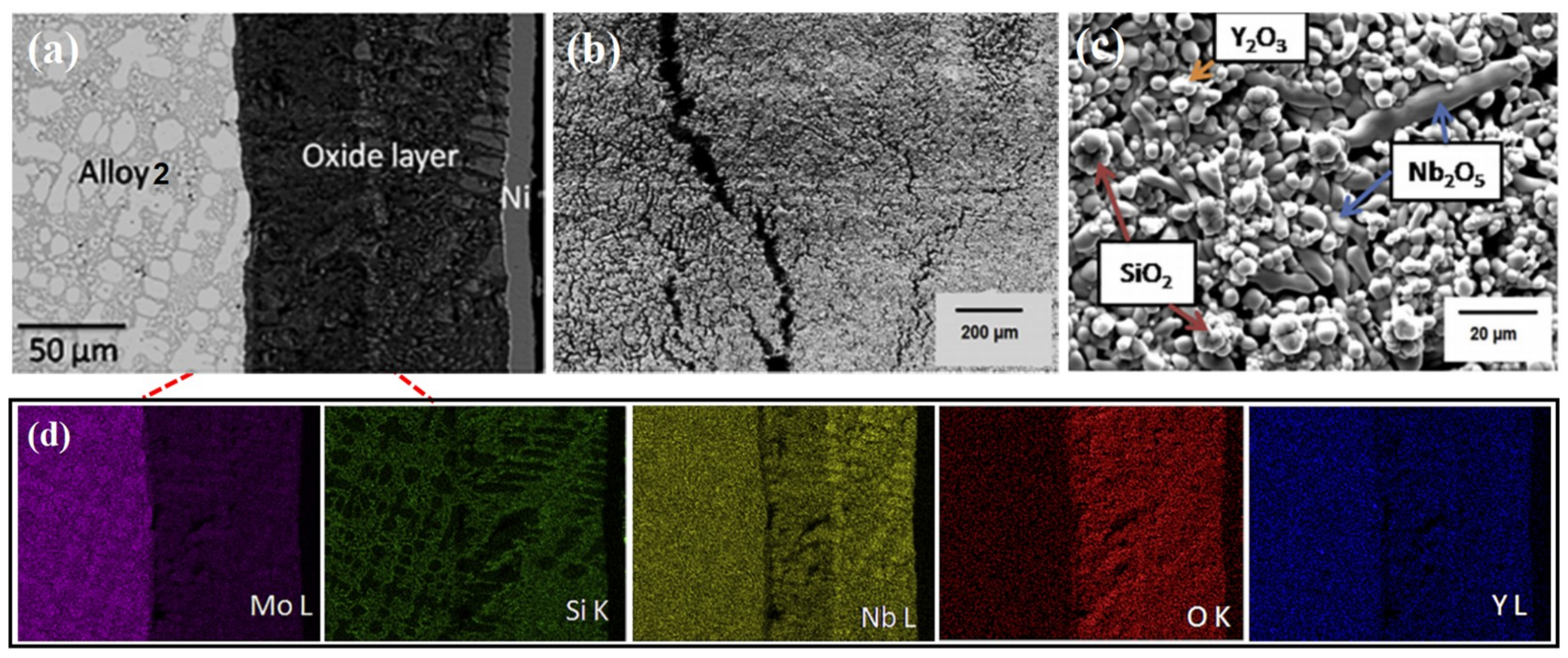Coatings 11 01144 g015