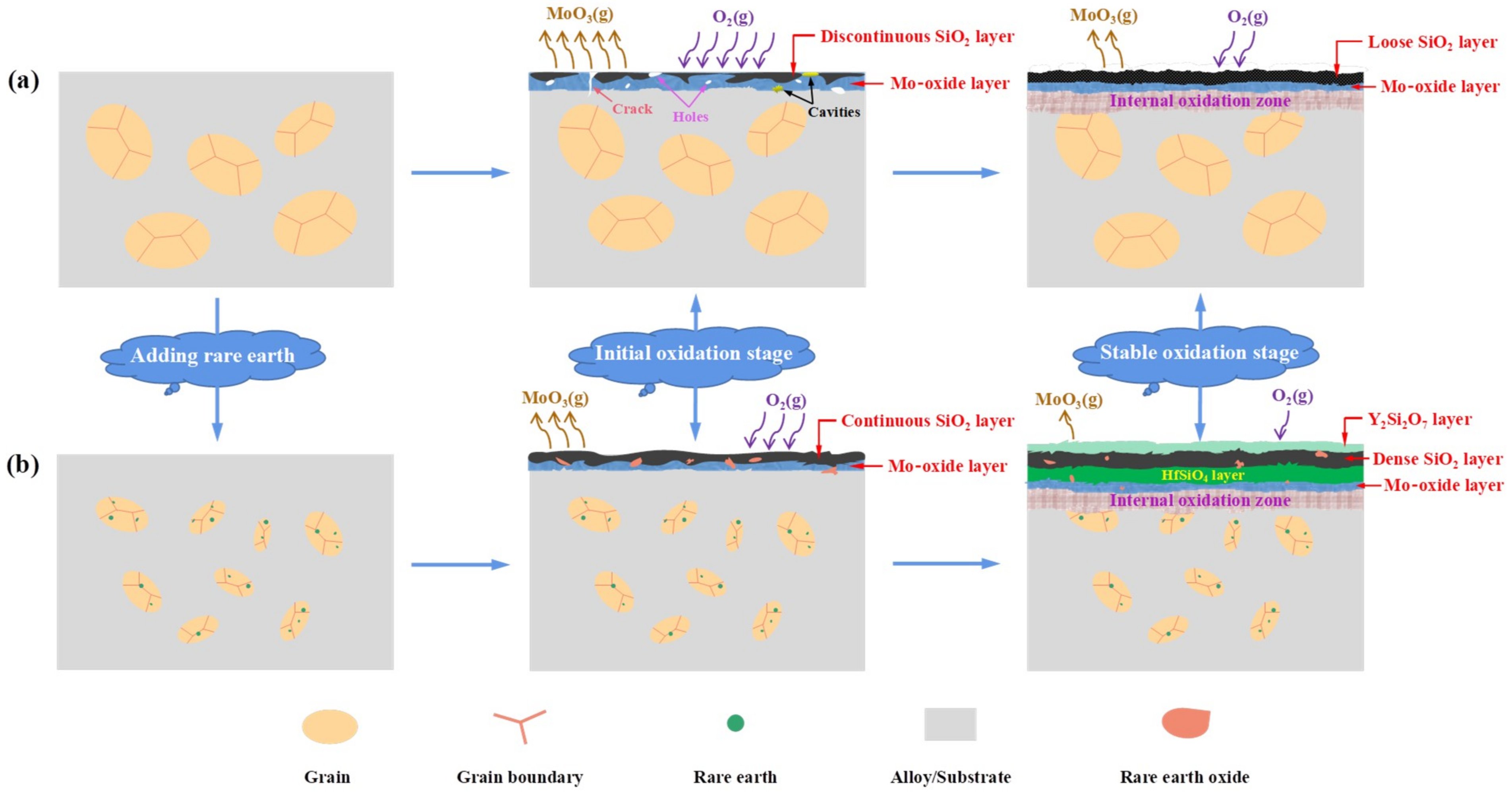 Coatings 11 01144 g016