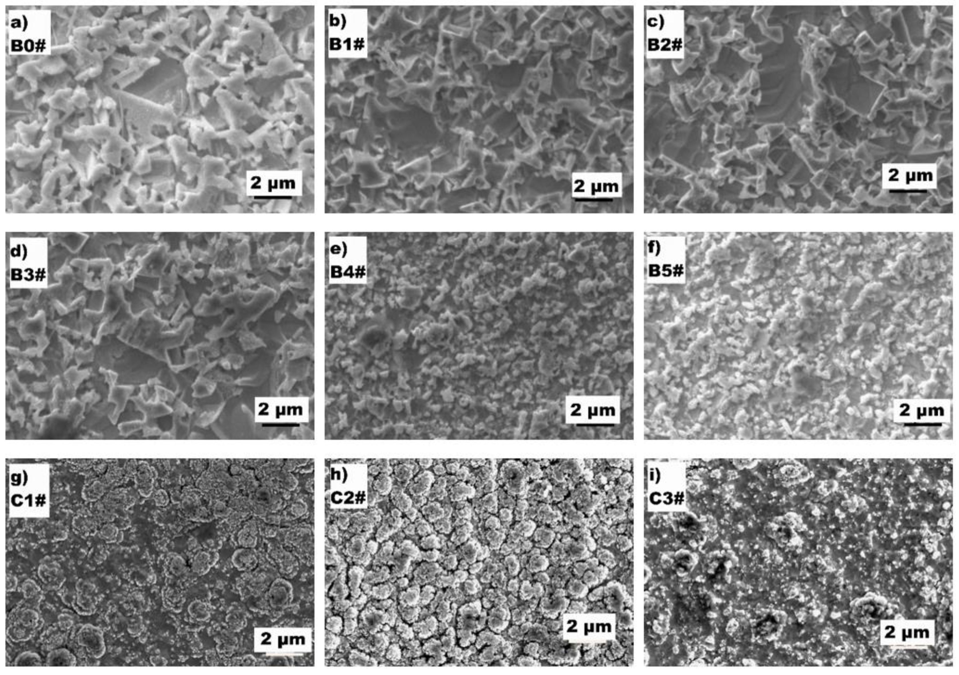 Coatings 11 01149 g001