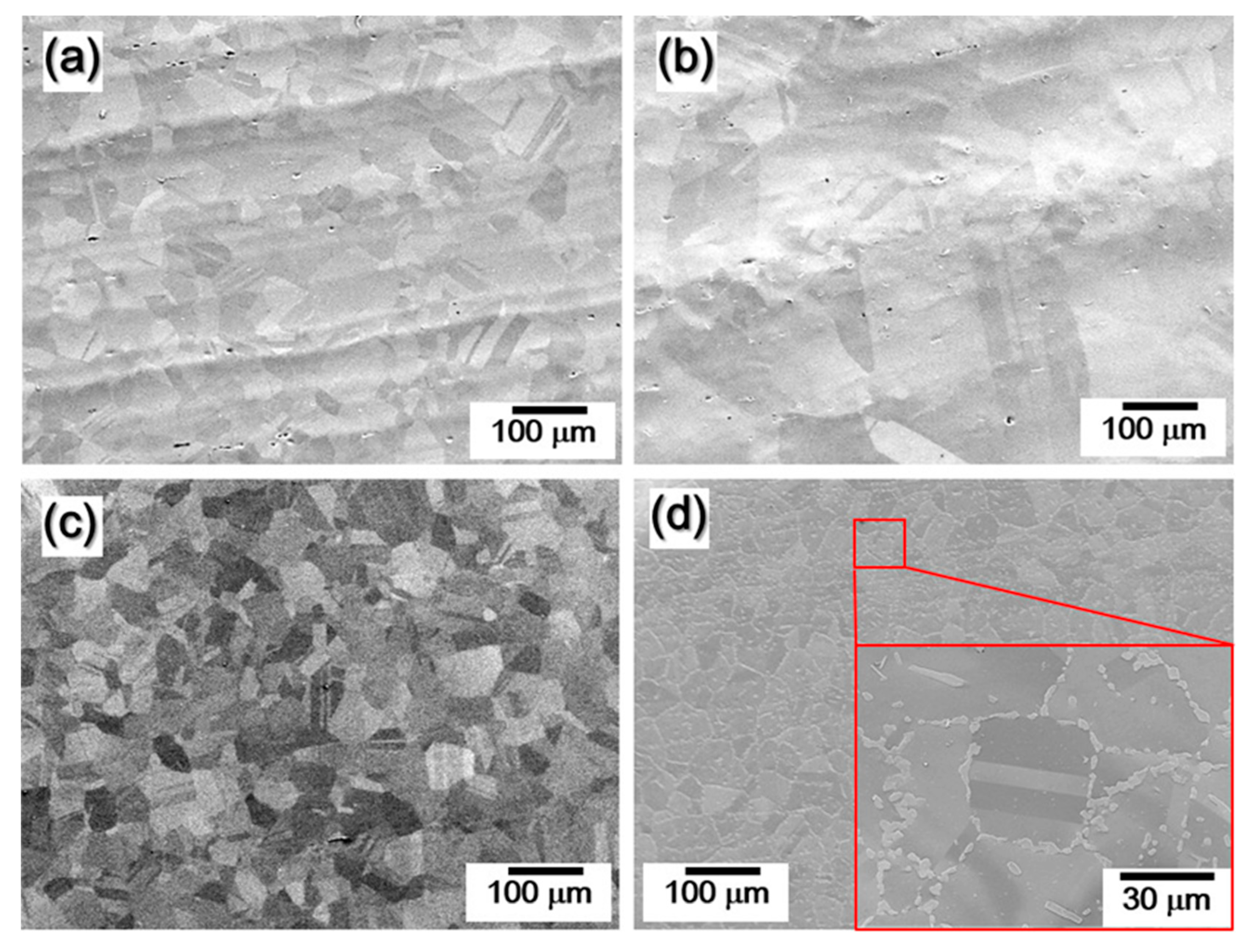 Coatings 11 01159 g002