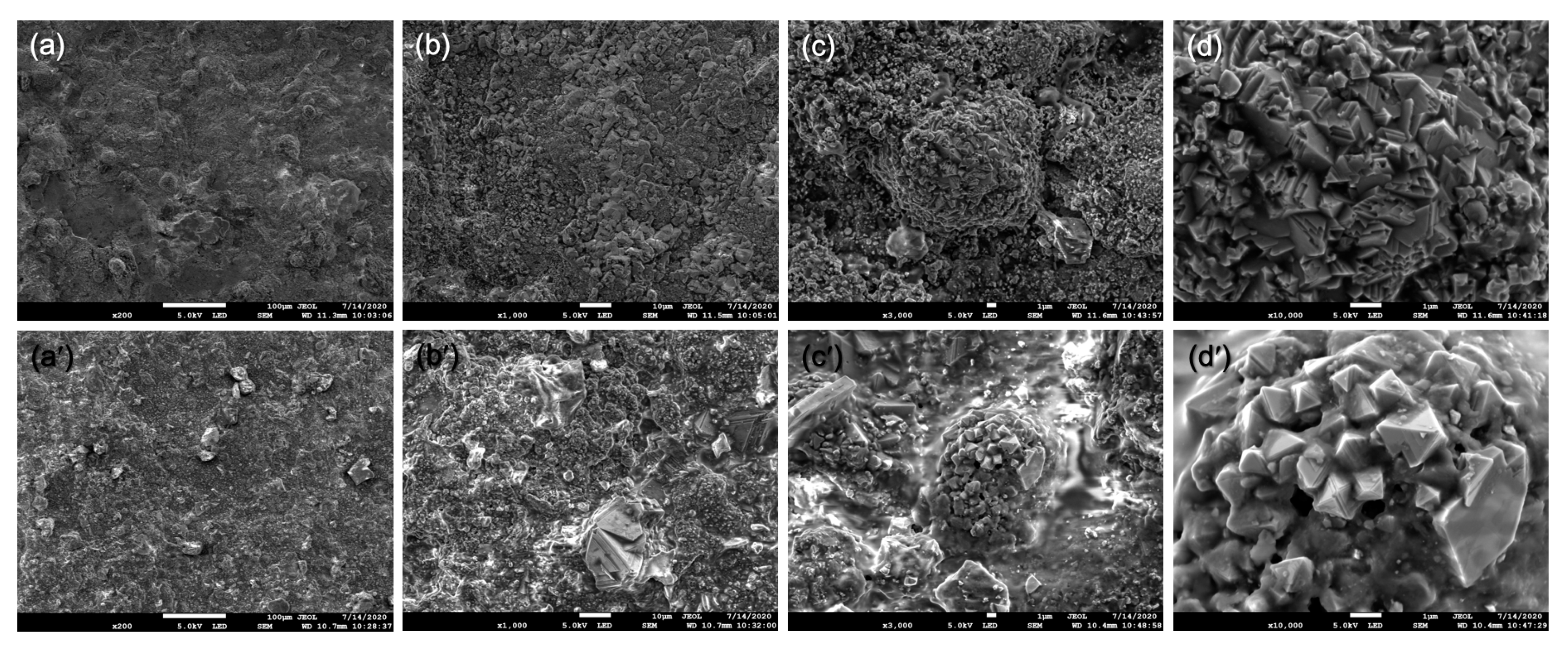 Coatings 11 01159 g008