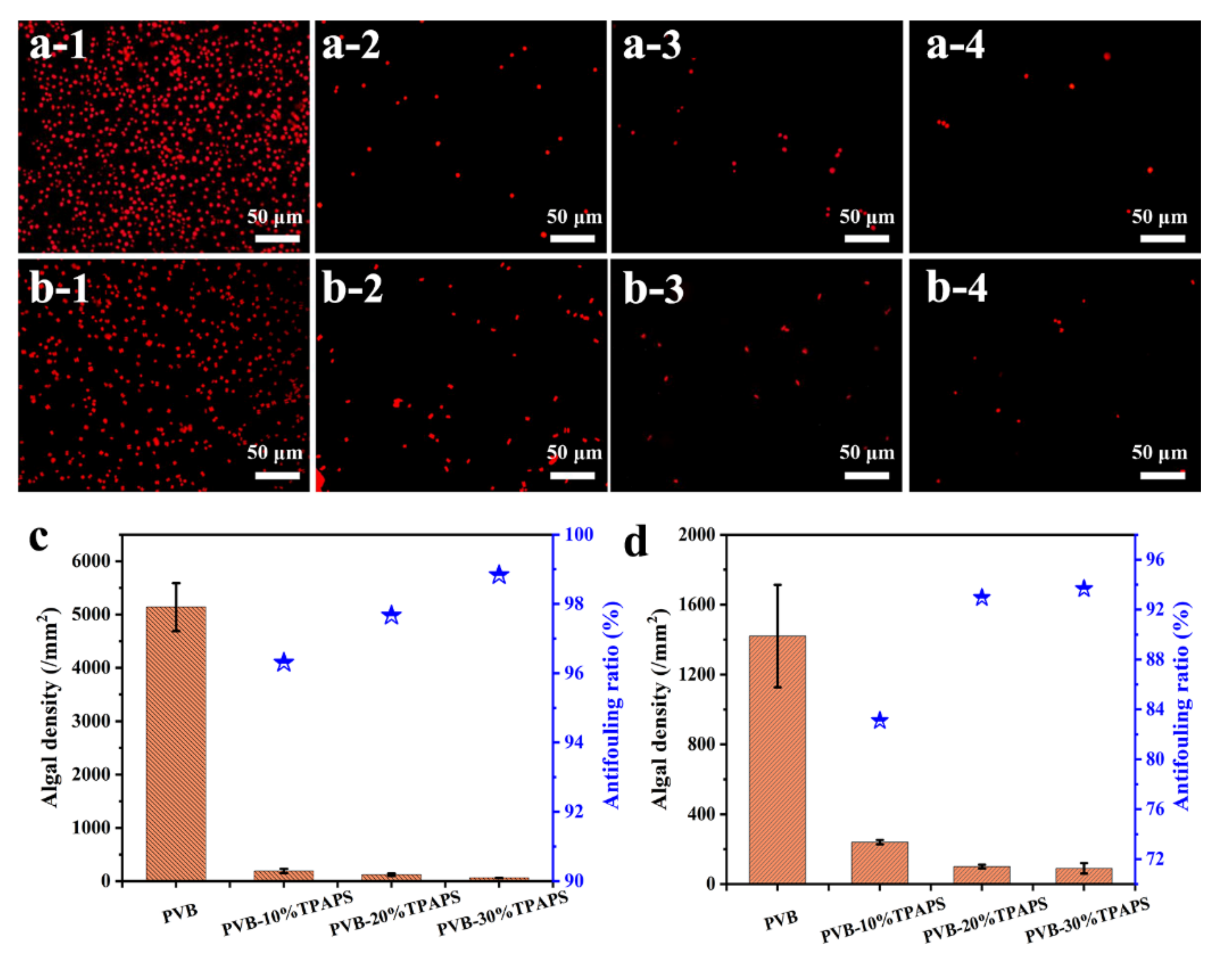 Coatings 11 01164 g009