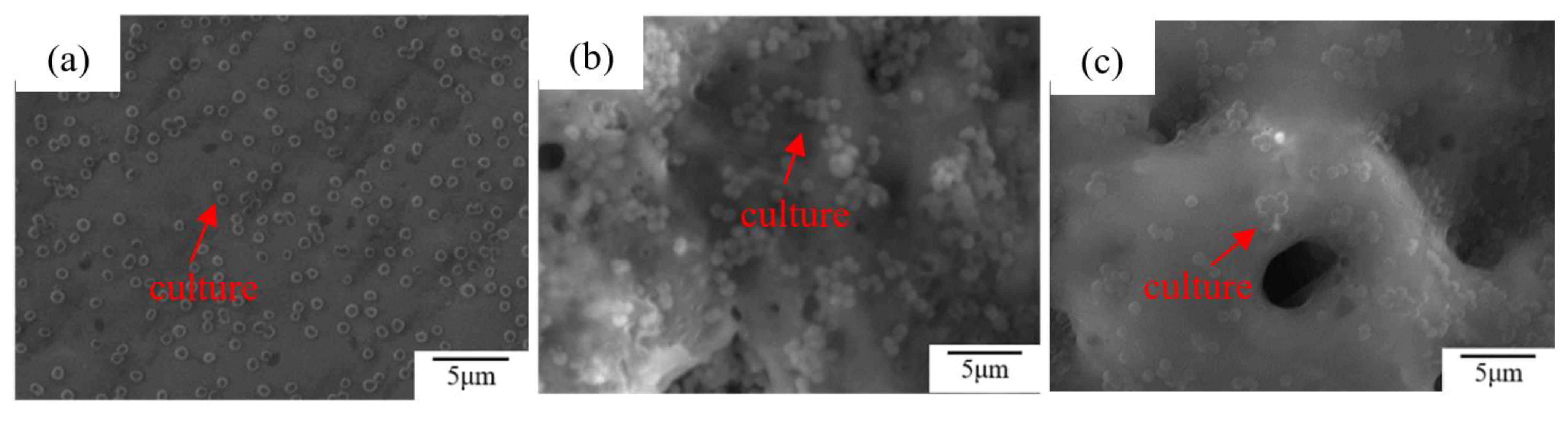 Coatings 11 01168 g005 Coatings 11 01168 g005