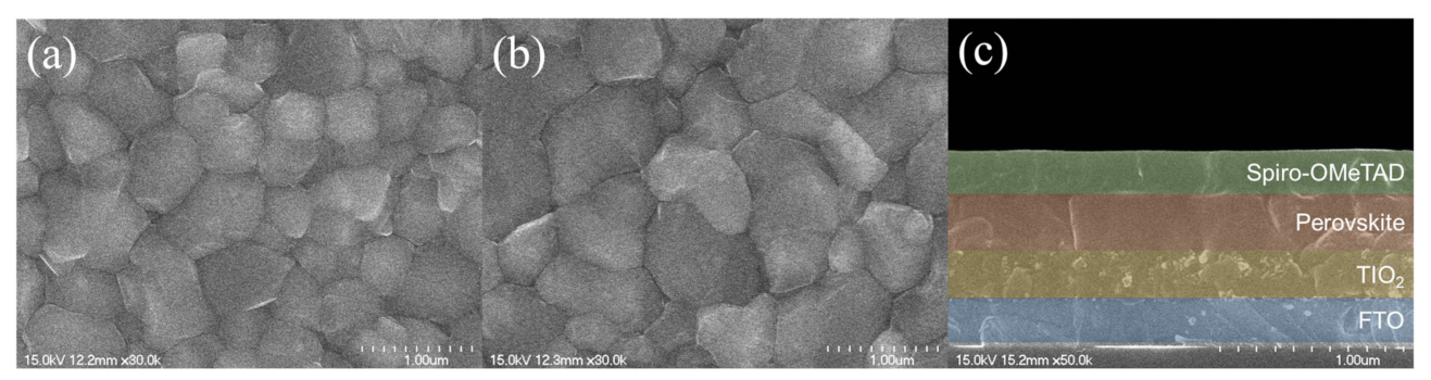 Coatings 11 01184 g004