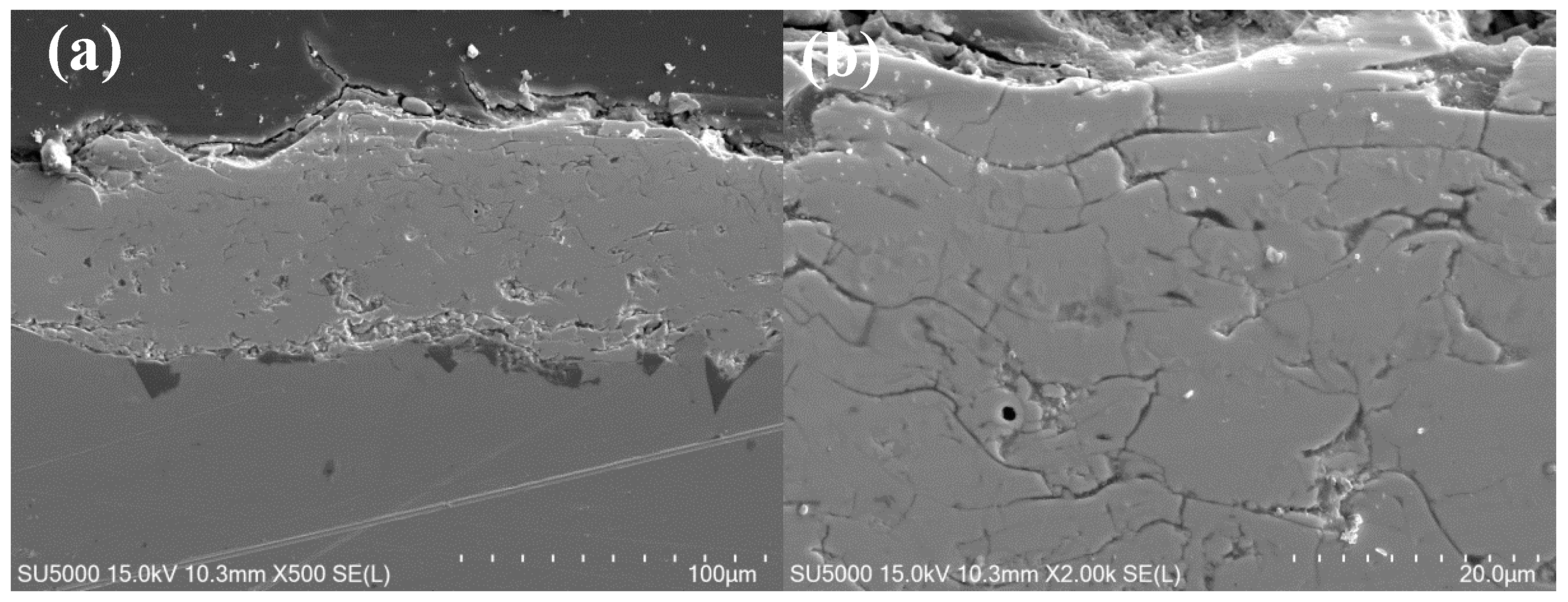 Coatings 11 01186 g005a
