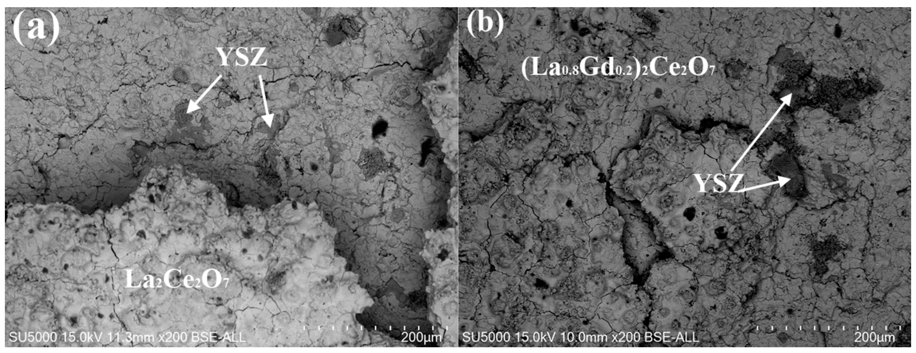 Coatings 11 01186 g012