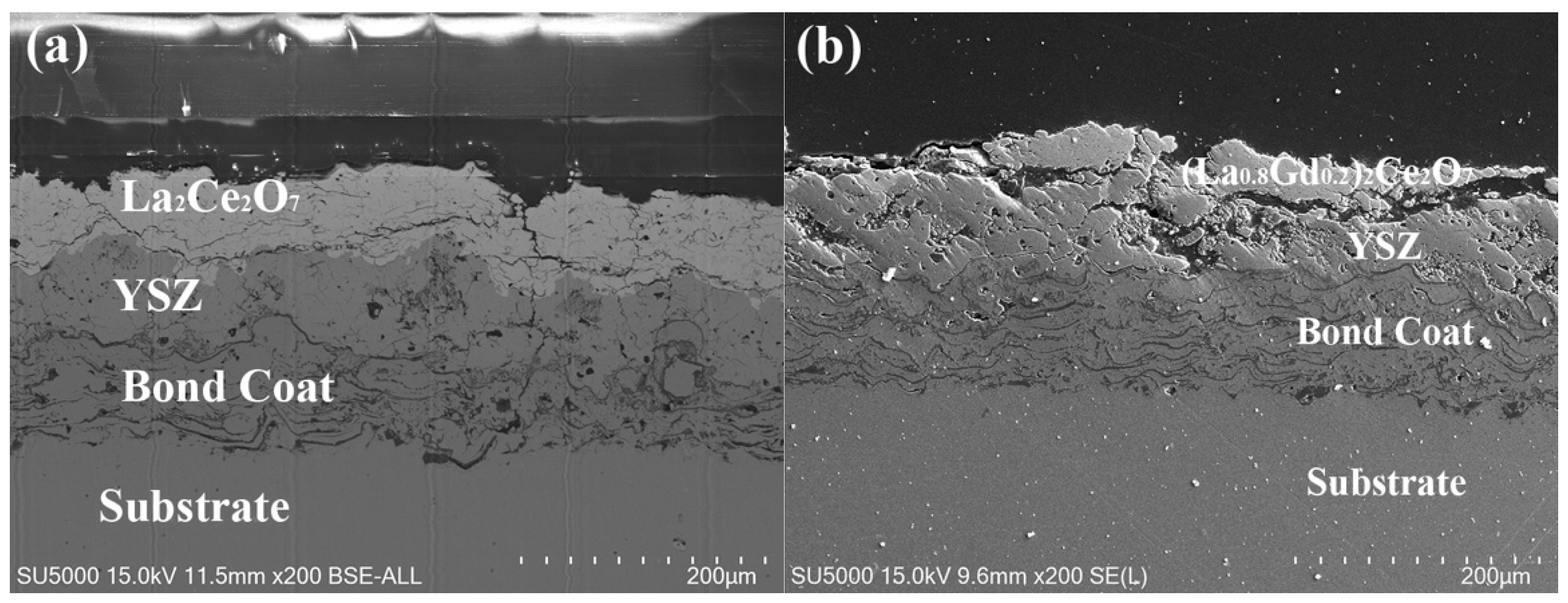 Coatings 11 01186 g013