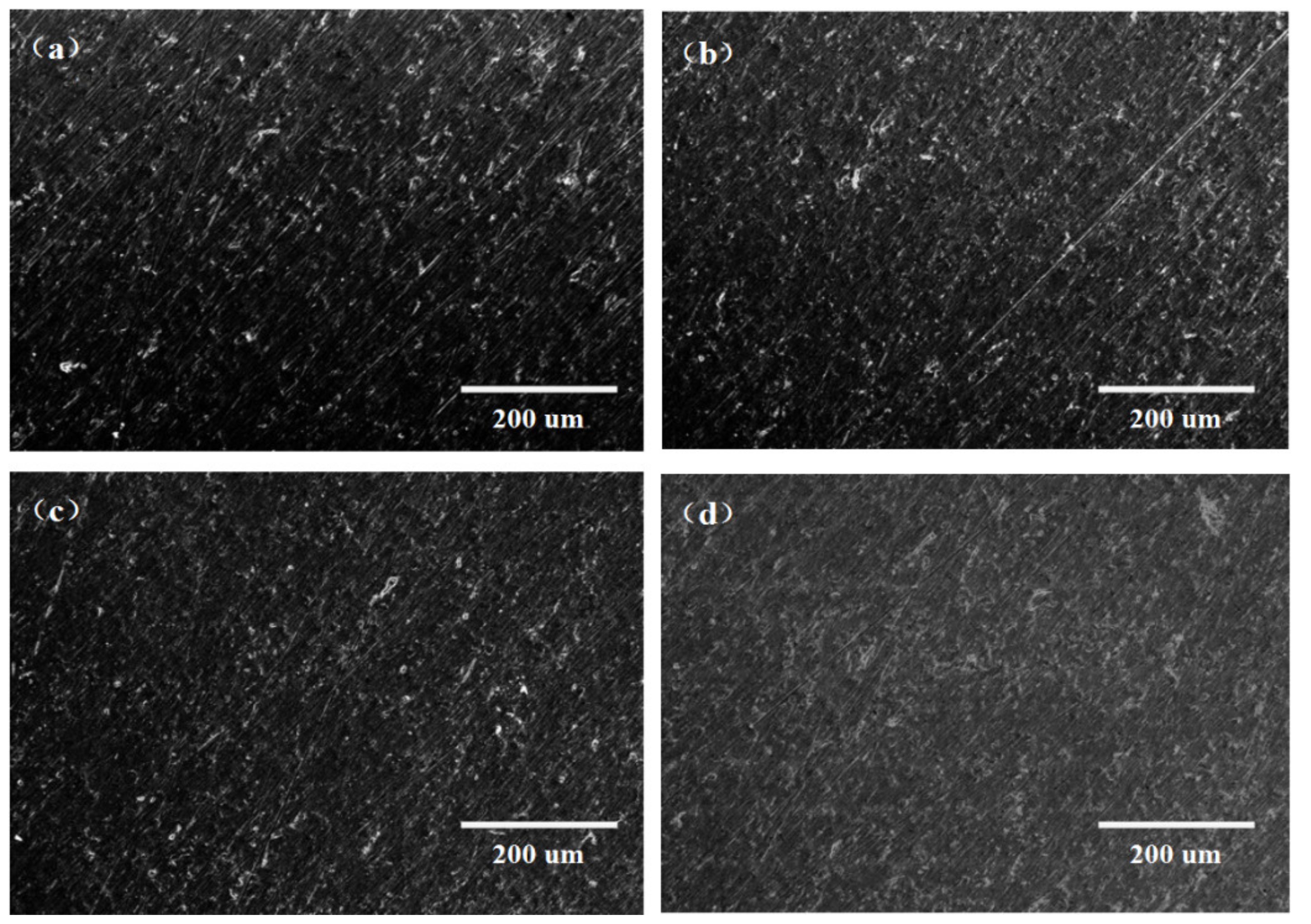Coatings 11 01190 g001