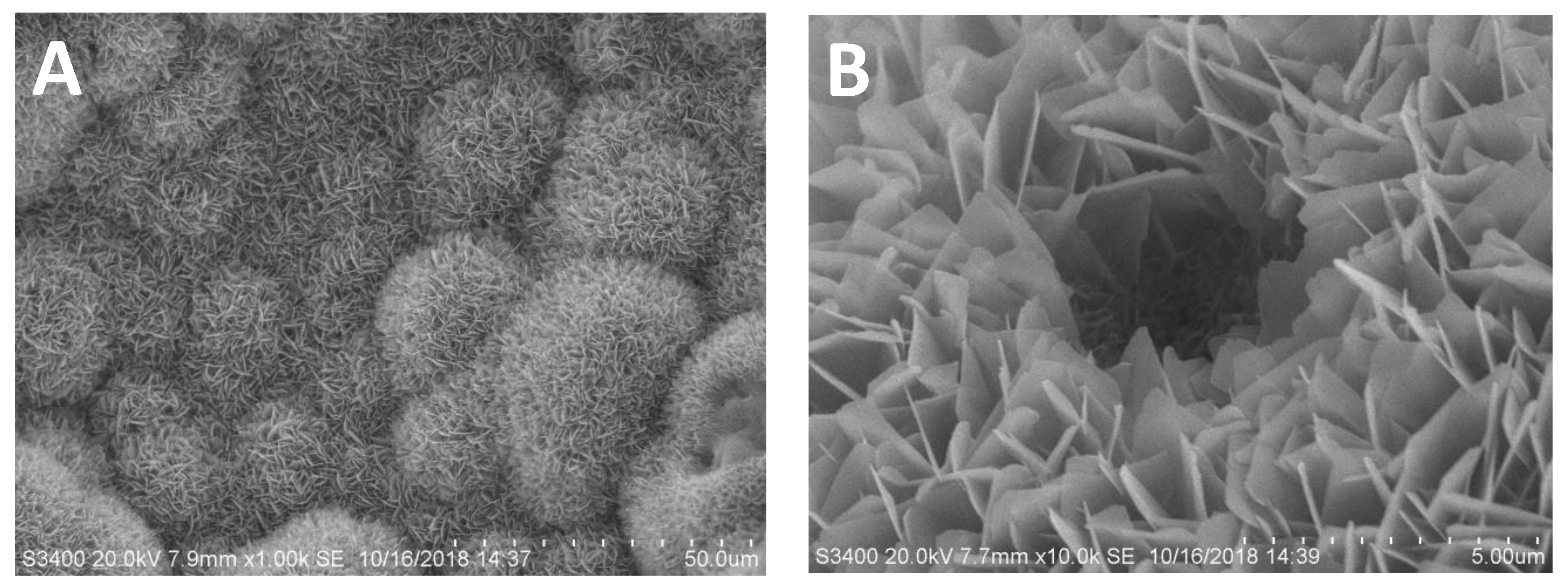 Coatings 11 01195 g001