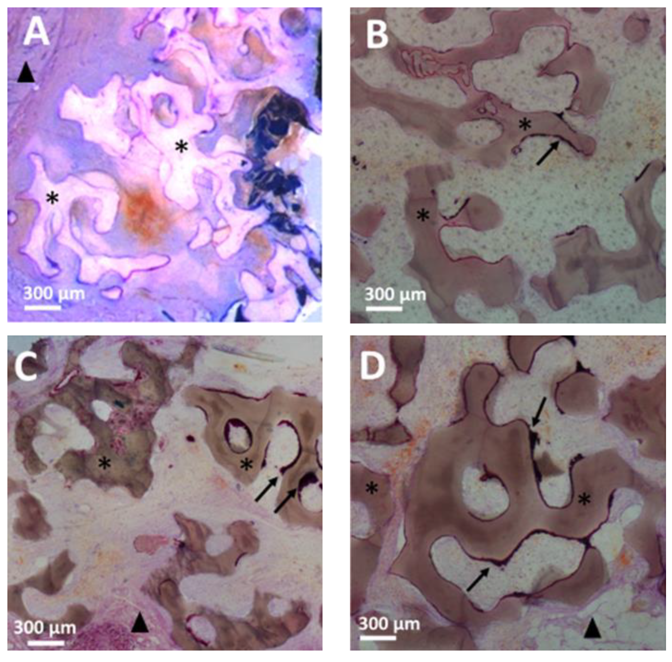 Coatings 11 01195 g002a