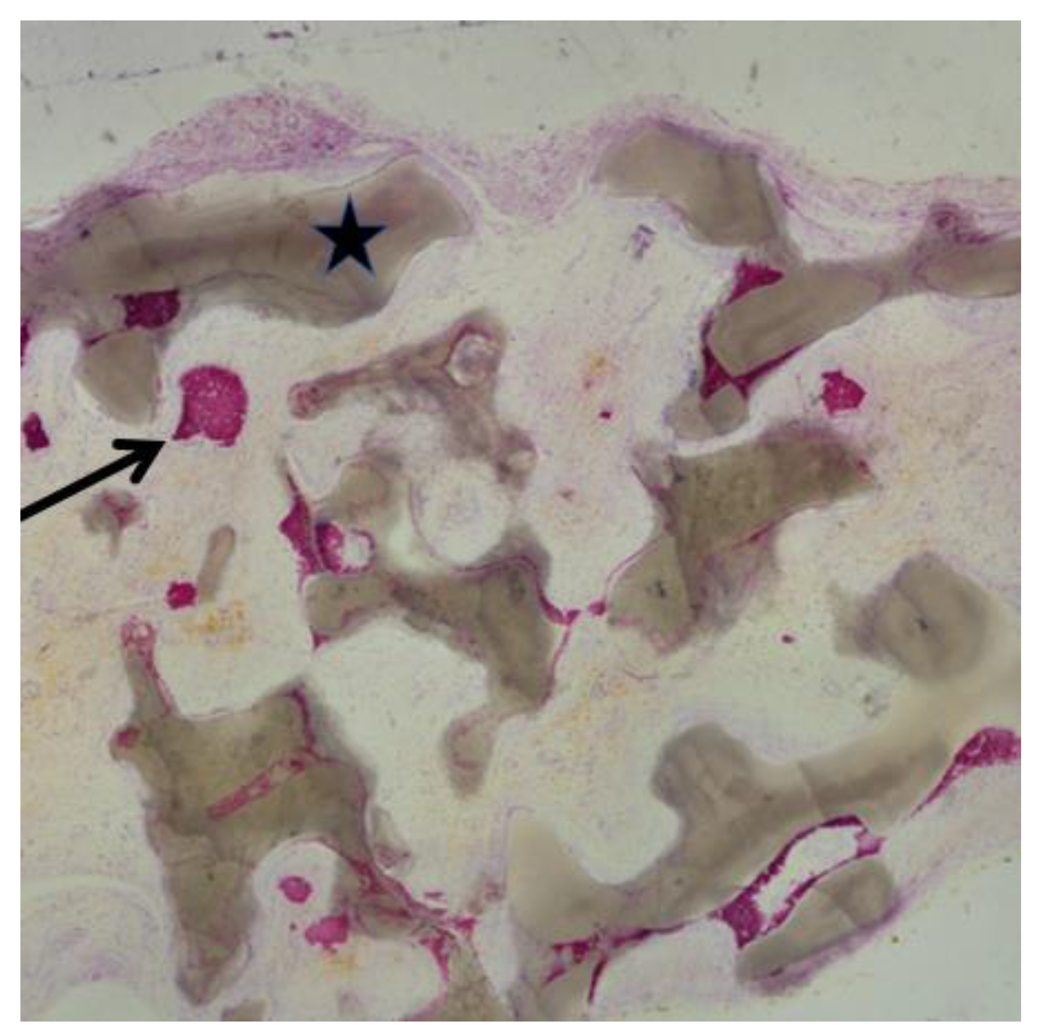 Coatings 11 01195 g003