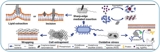 Coatings 11 01197 g005