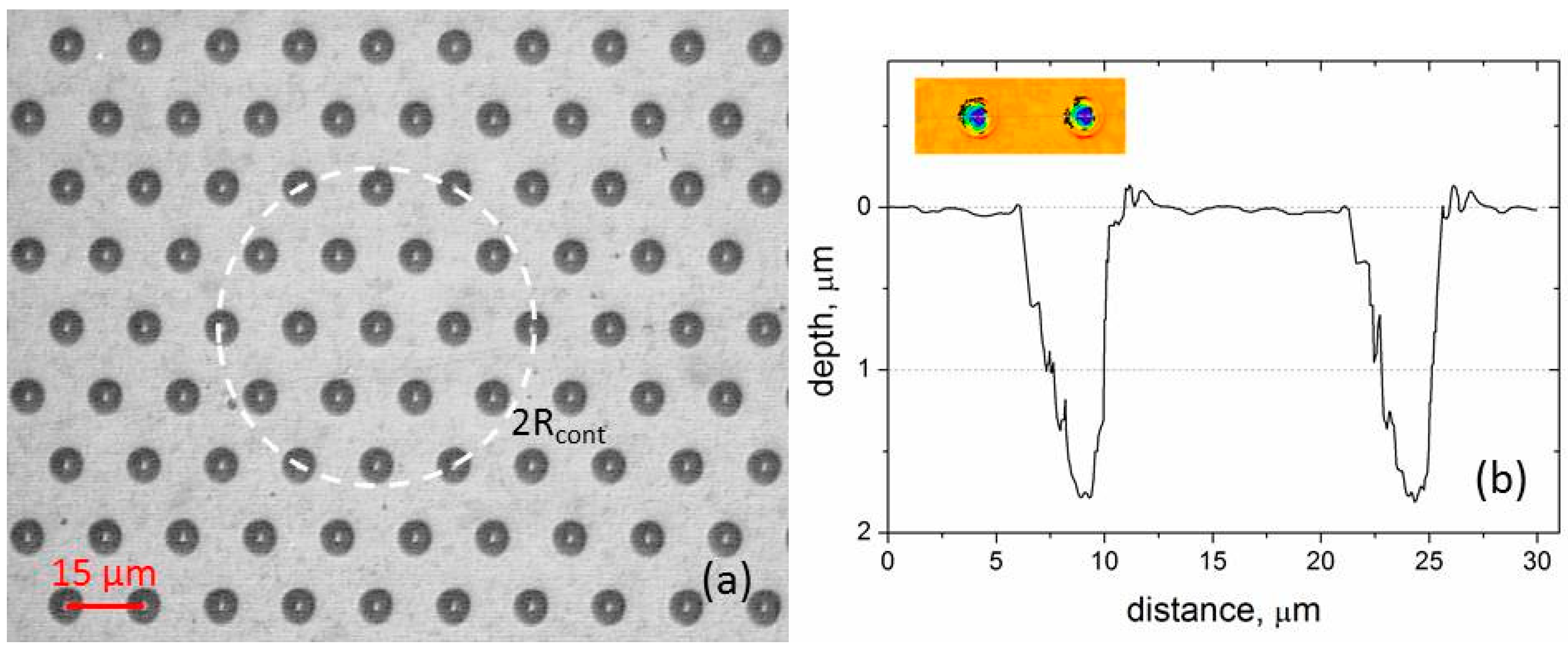 Coatings 11 01203 g005