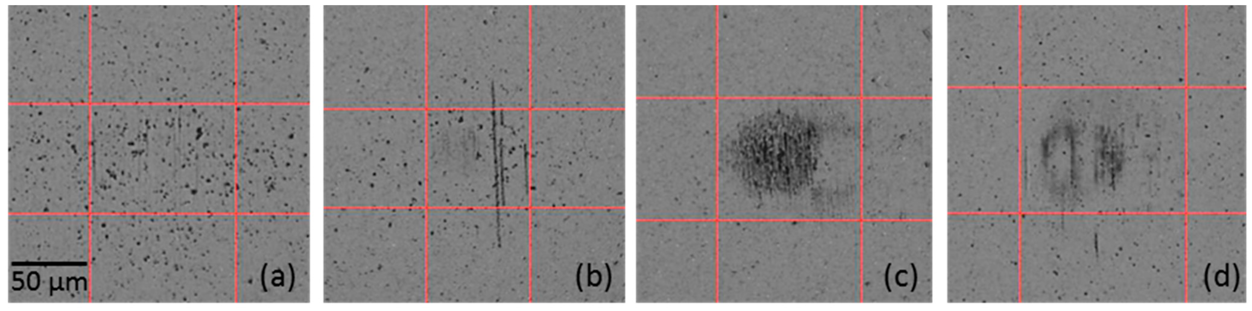 Coatings 11 01203 g008