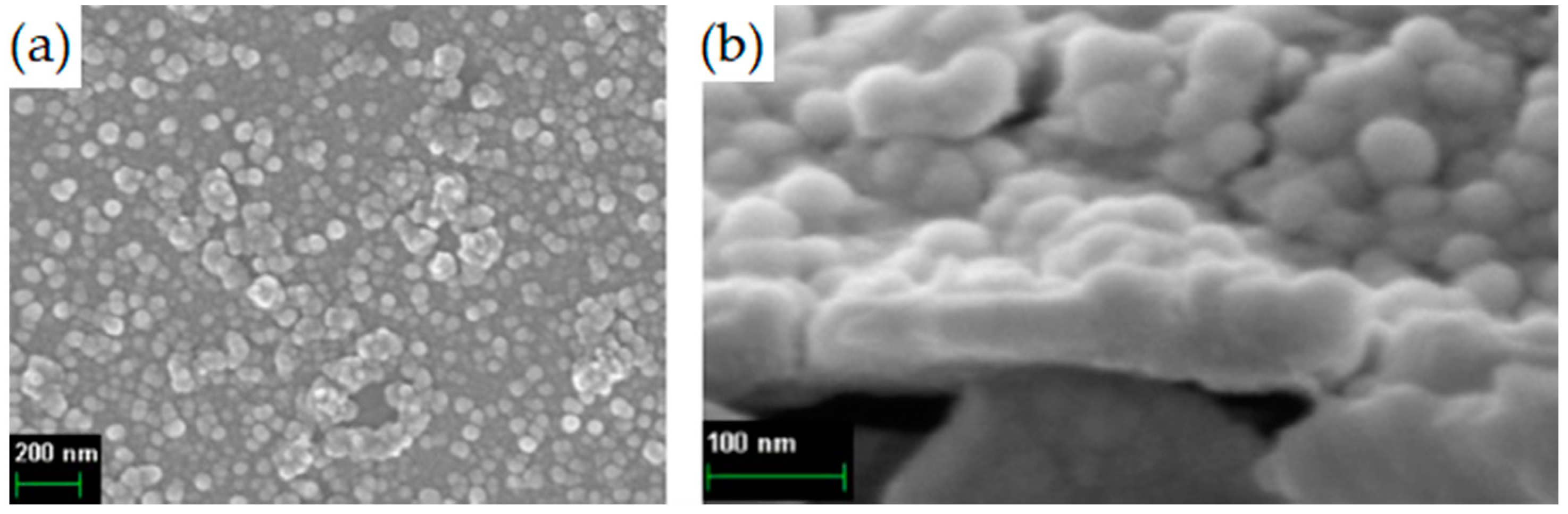Coatings 11 01206 g007 Coatings 11 01206 g007