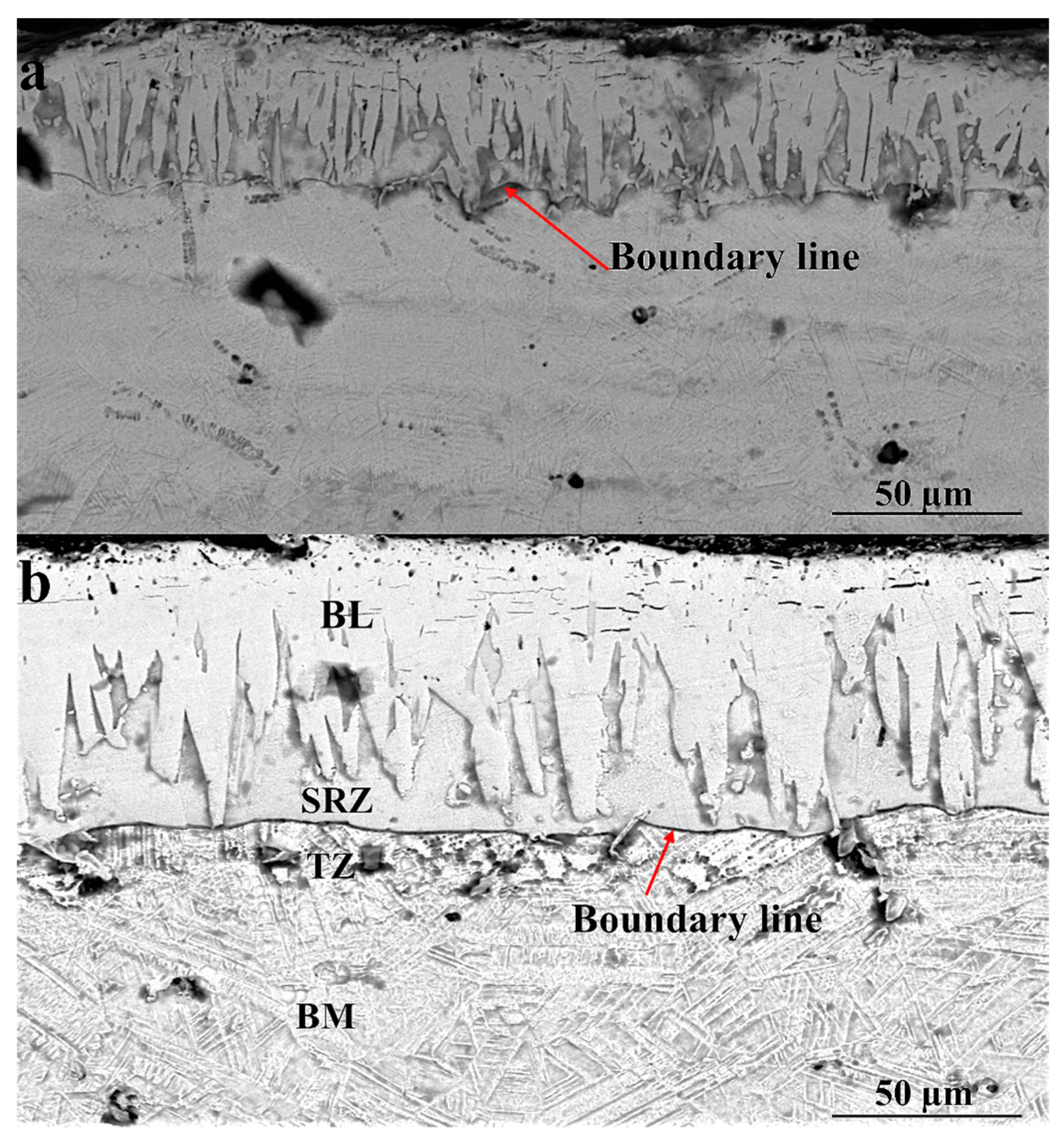 Coatings 11 01207 g002
