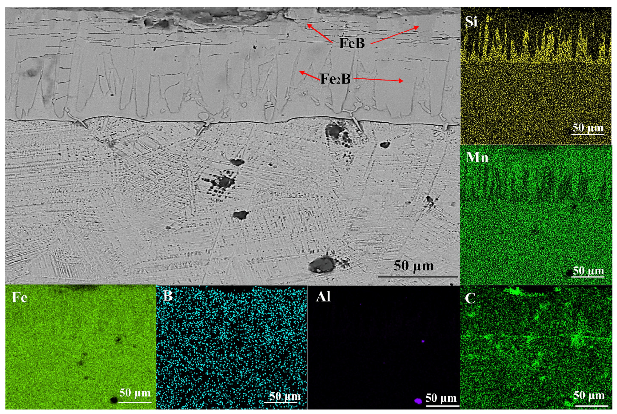 Coatings 11 01207 g003