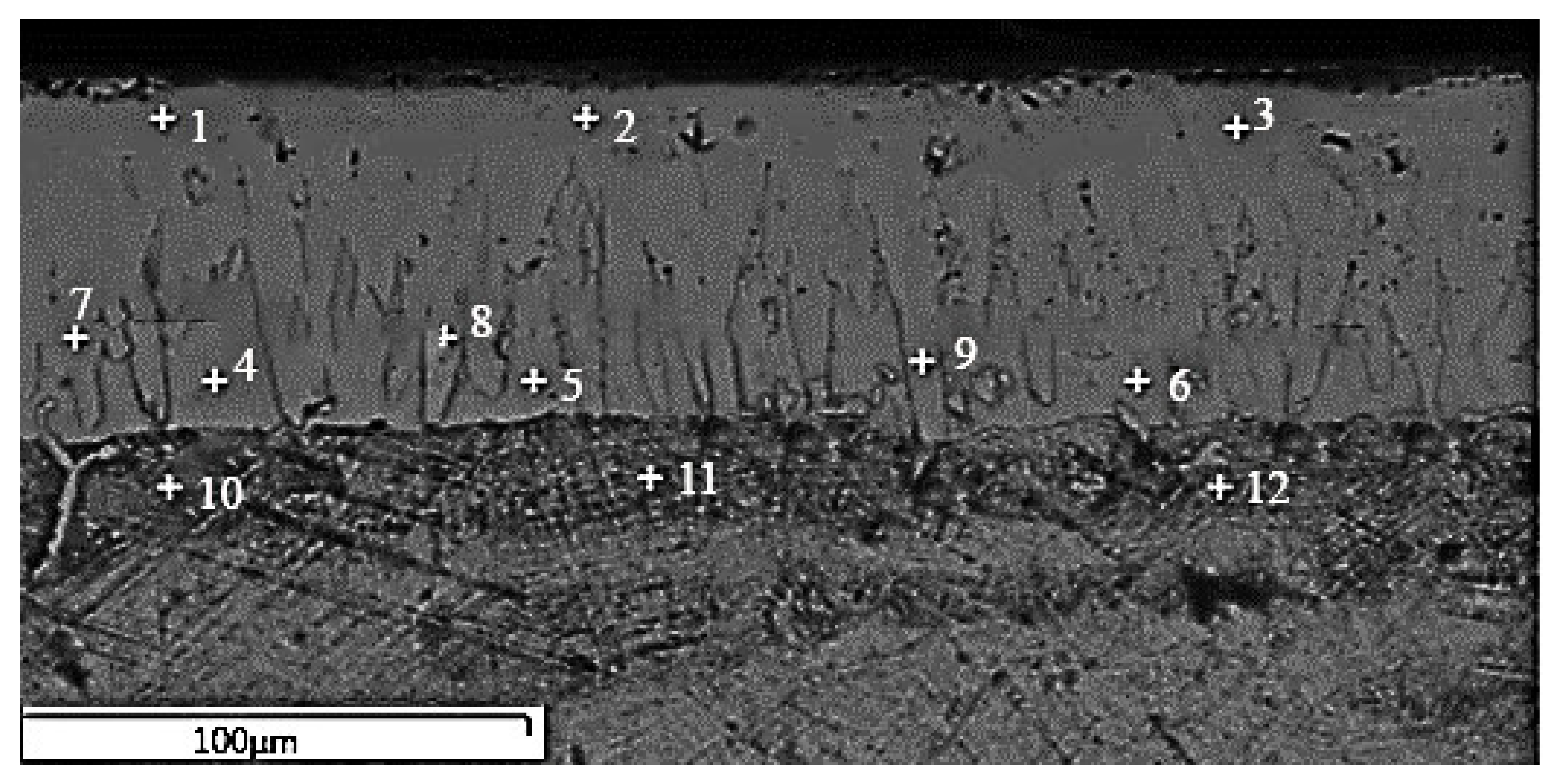Coatings 11 01207 g004
