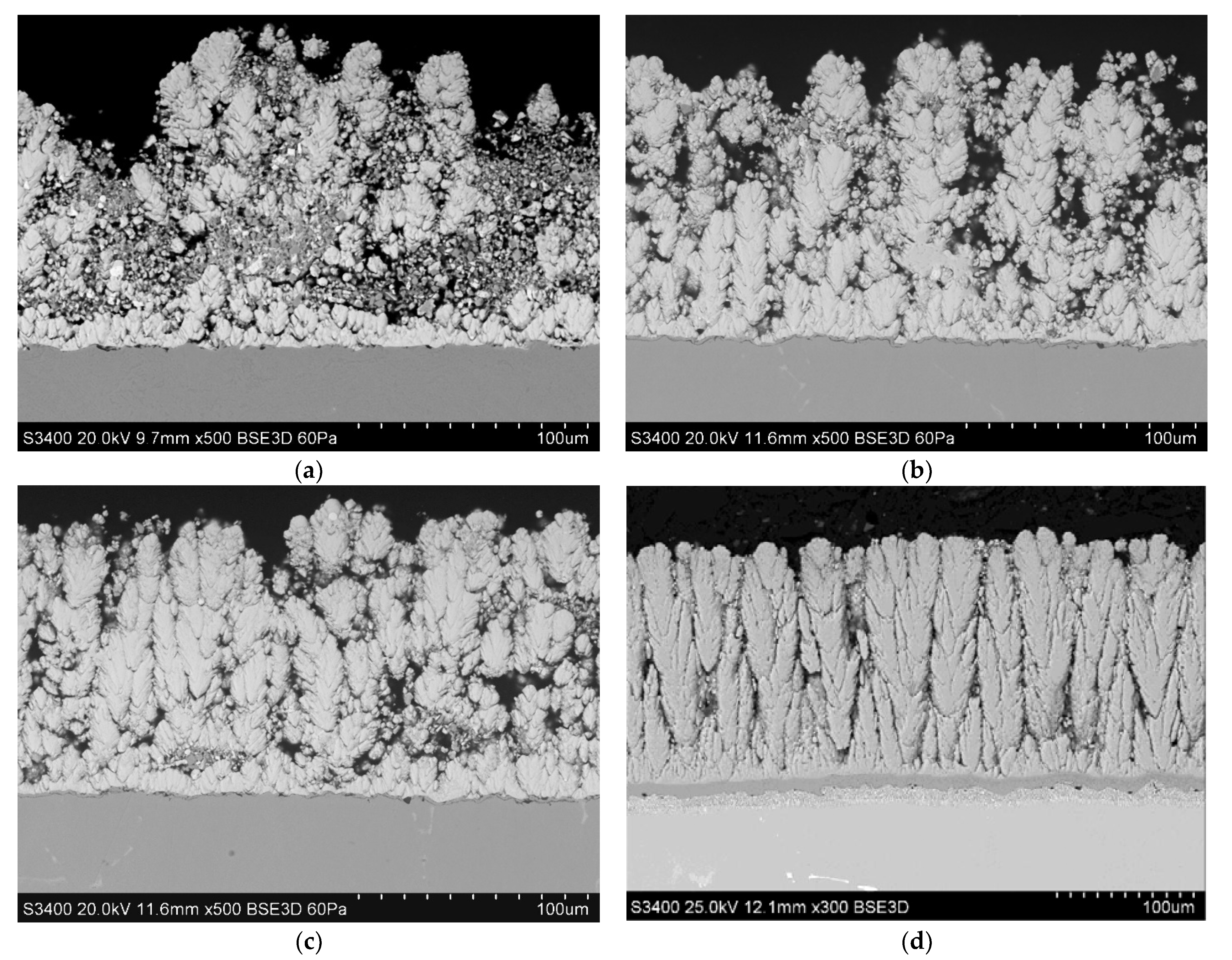 Coatings 11 01208 g001
