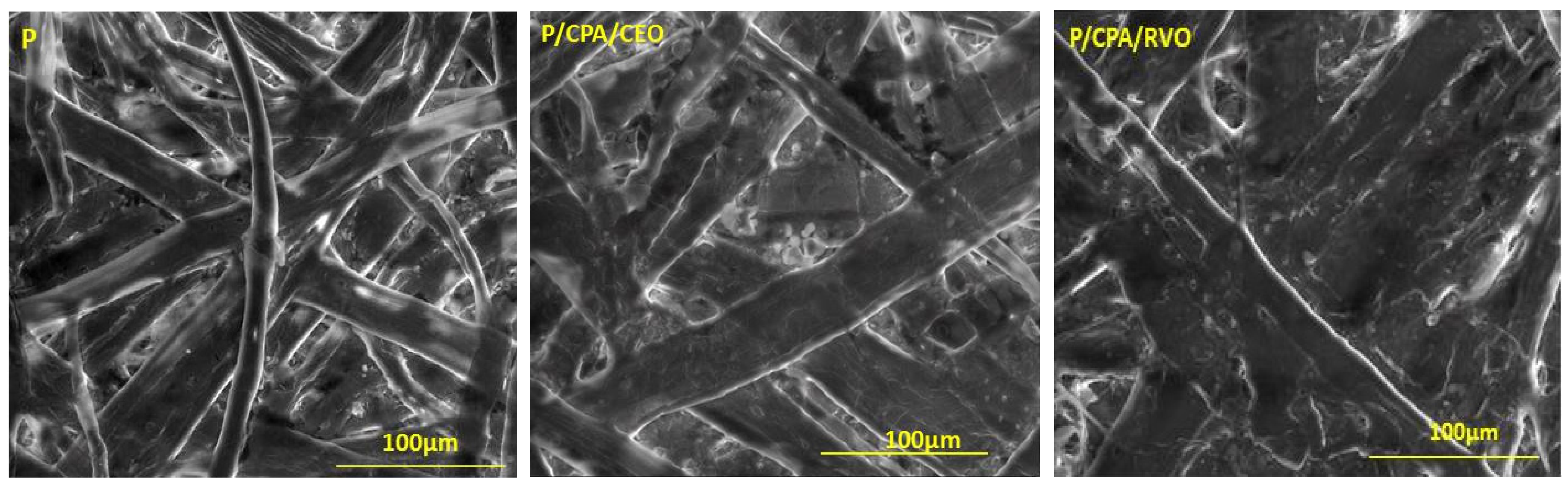 Coatings 11 01211 g002a