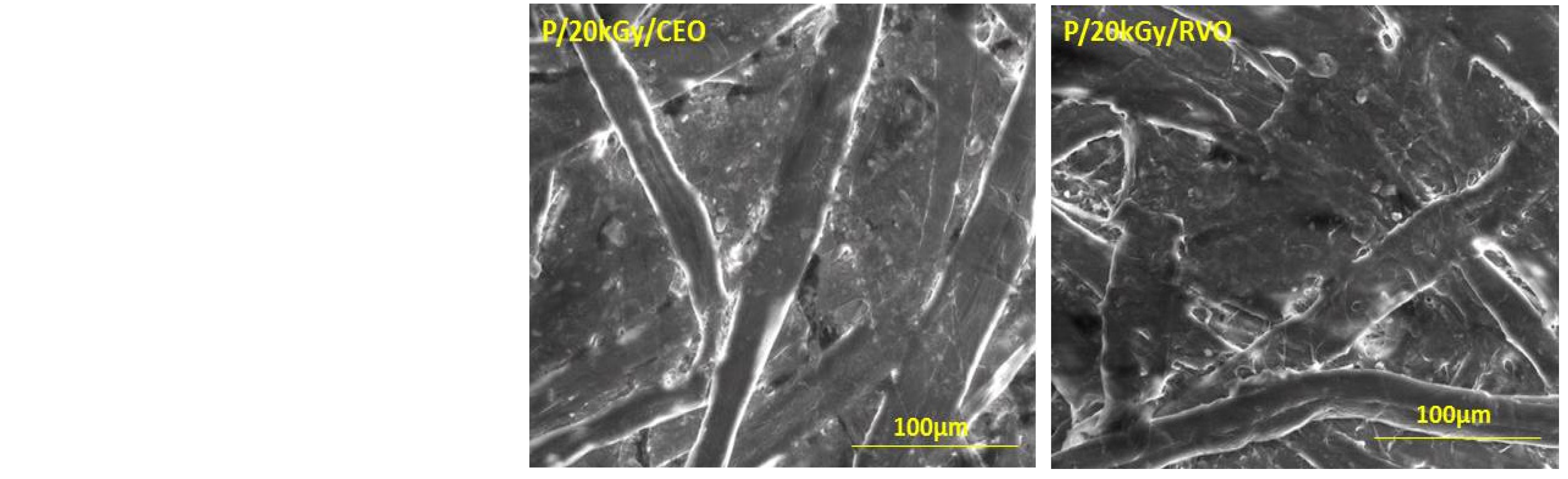 Coatings 11 01211 g002b