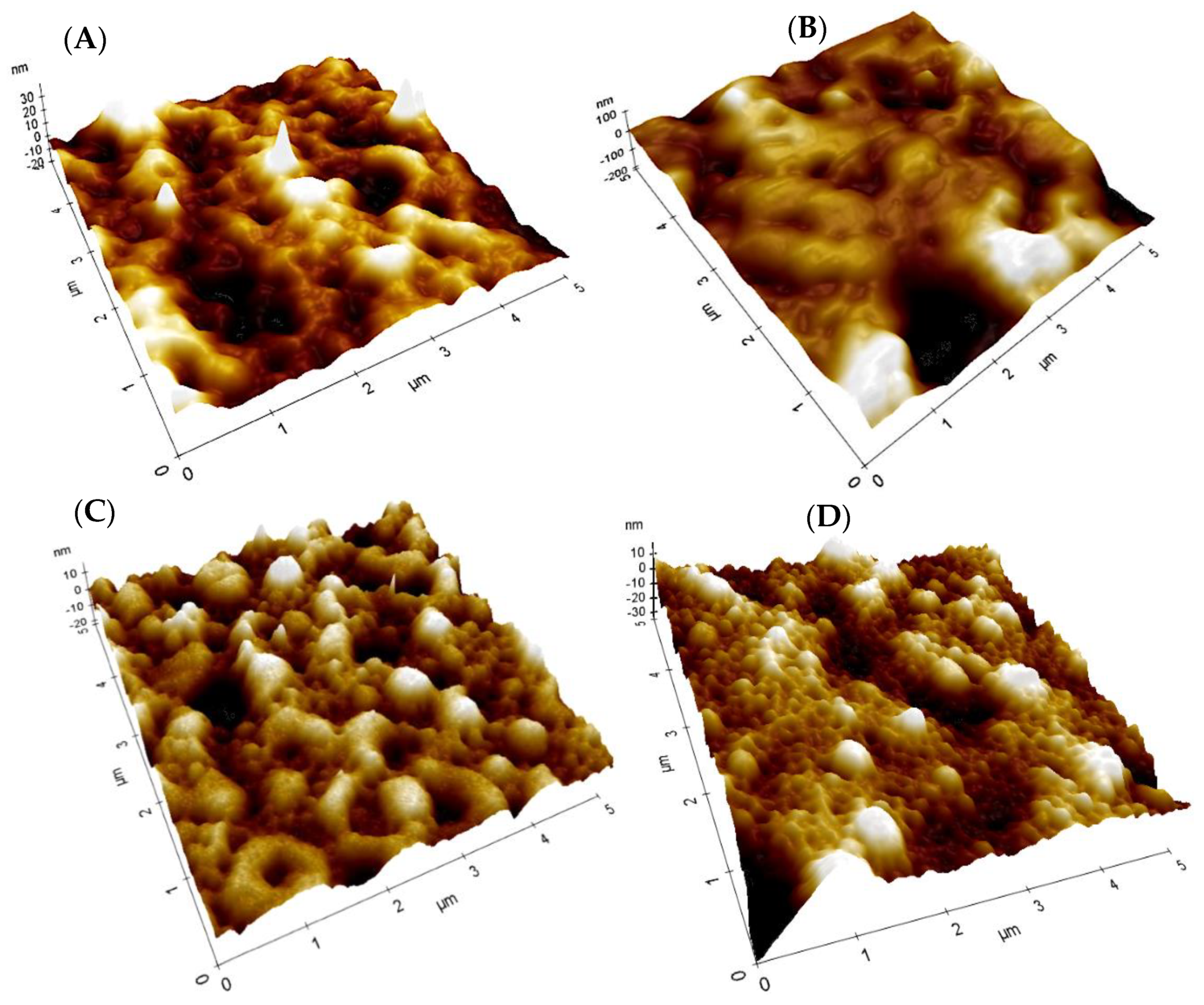 Coatings 11 01212 g004
