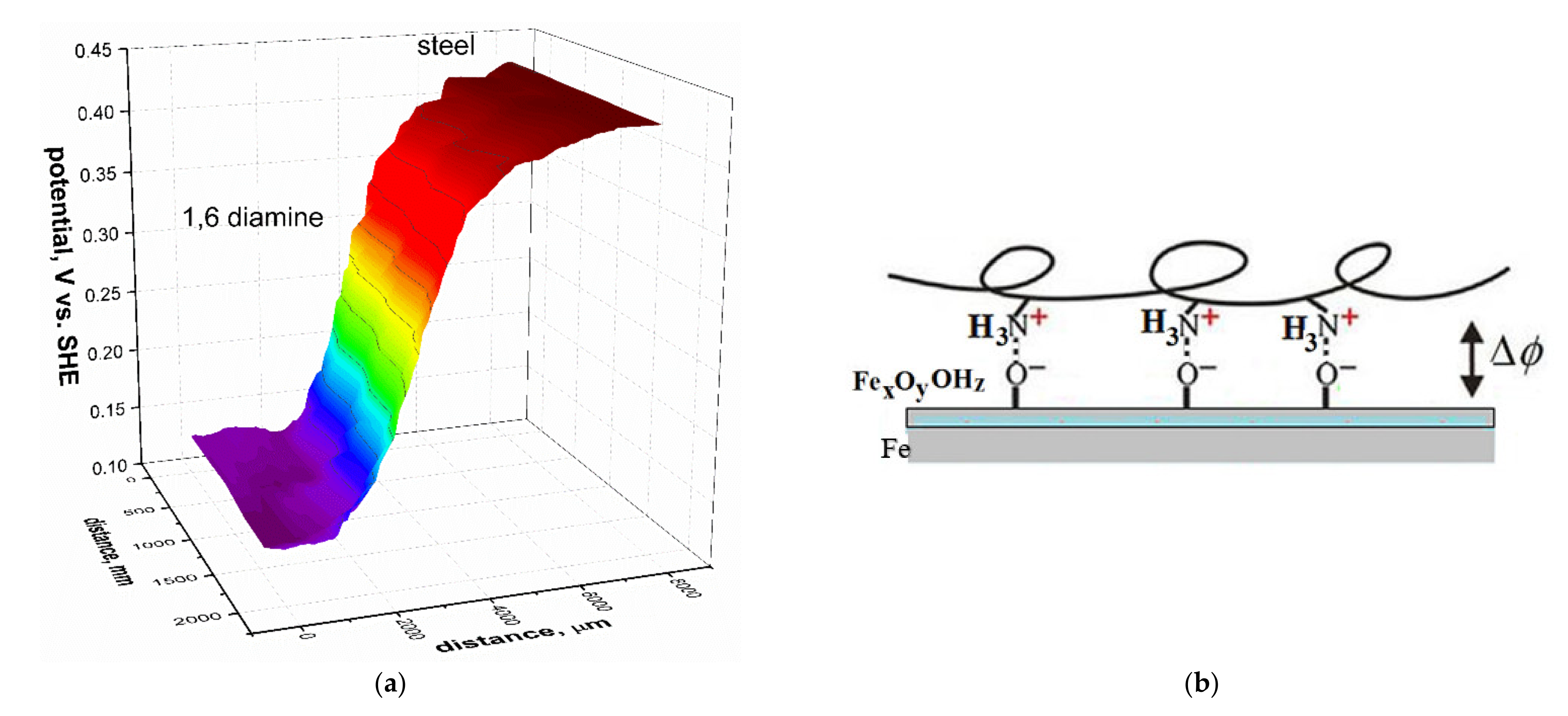 Coatings 11 01217 g007