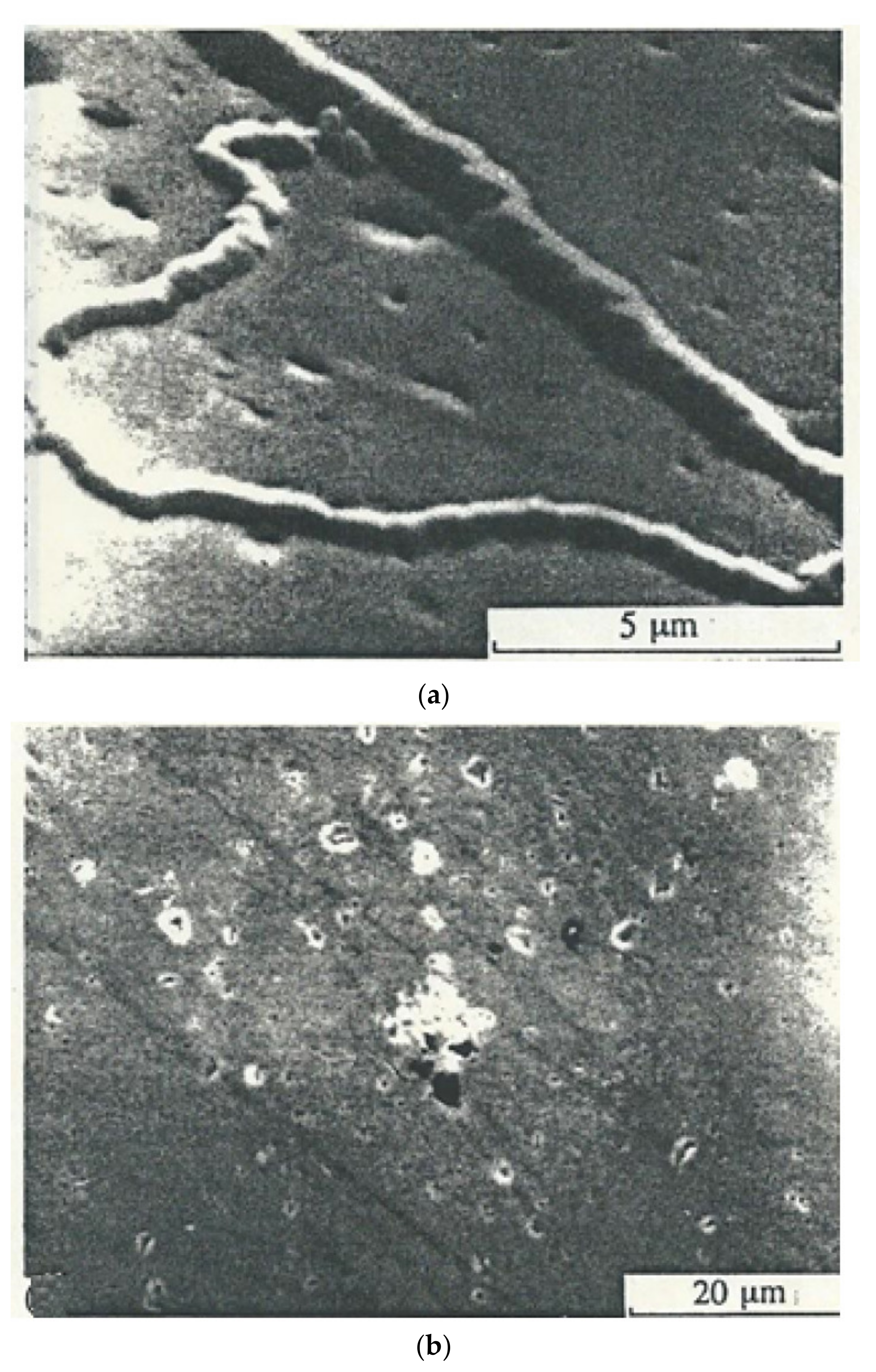 Coatings 11 01217 g013