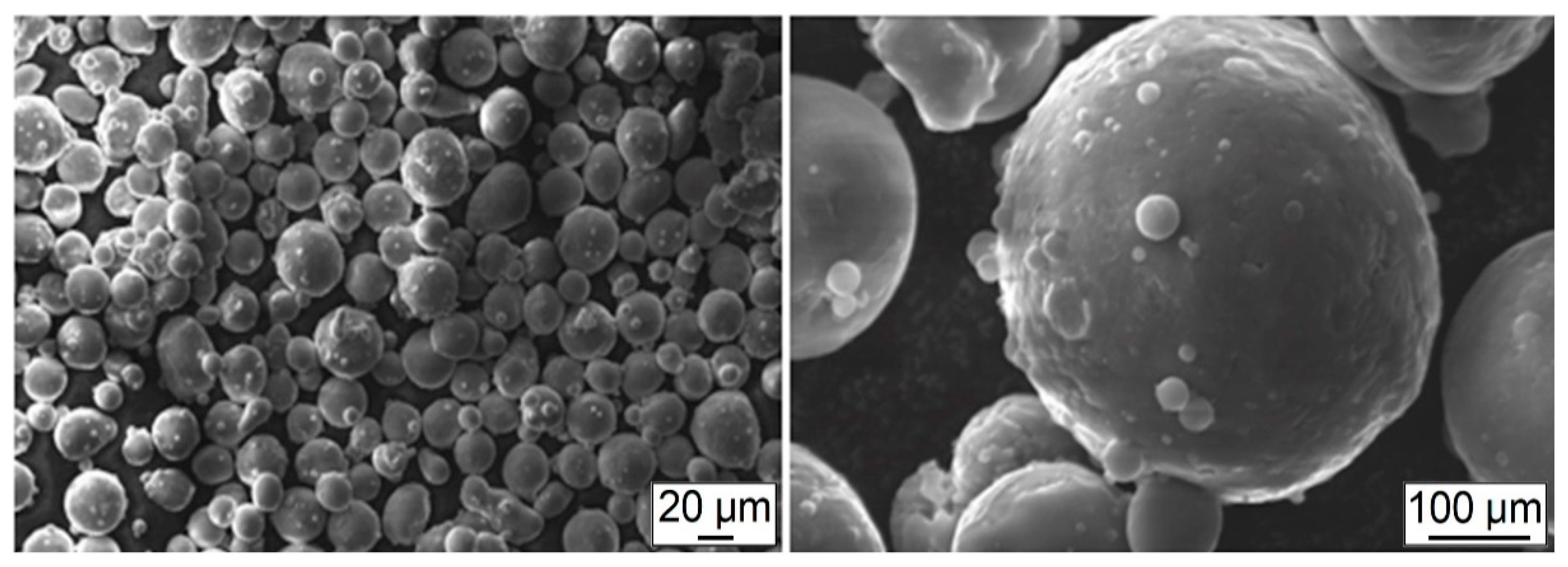 Coatings 11 01219 g001