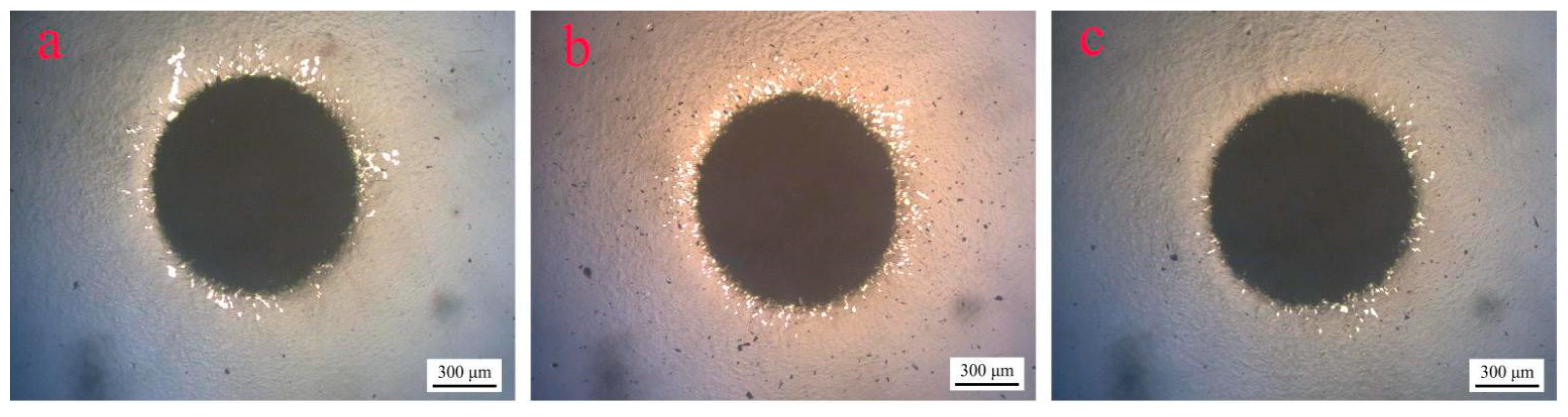 Coatings 11 01230 g011