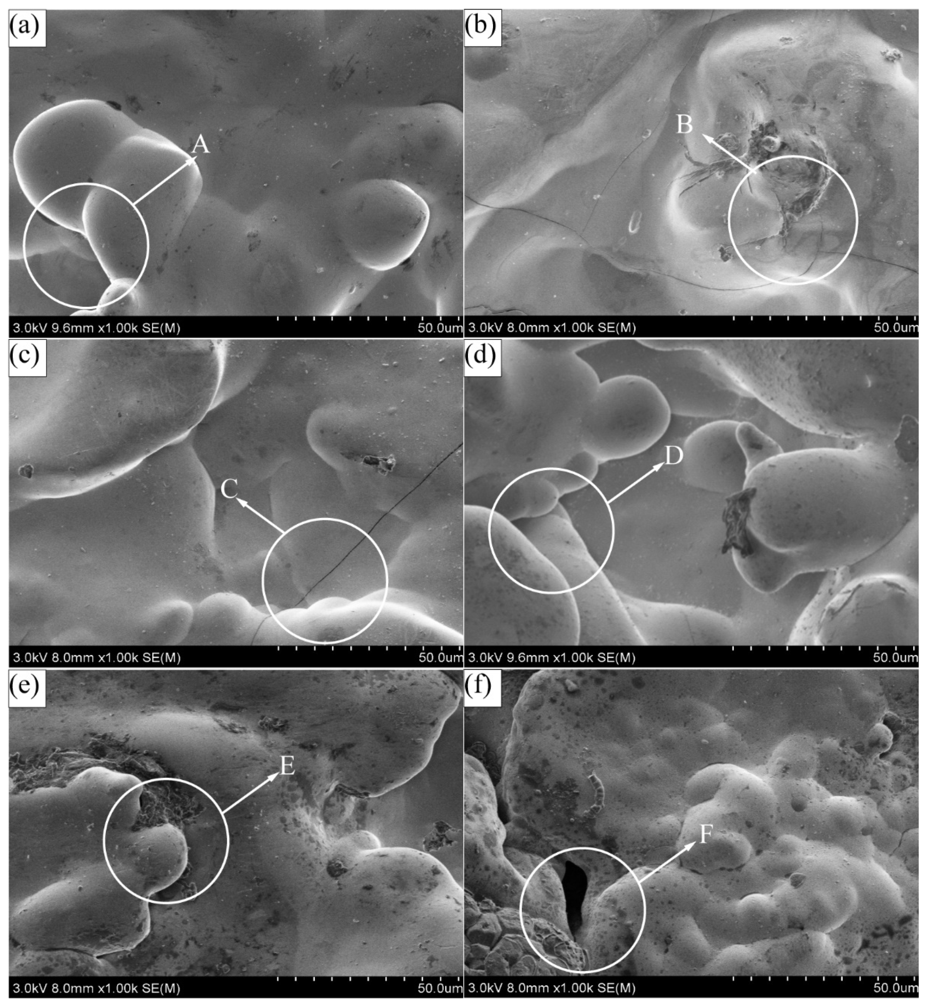 Coatings 11 01237 g002