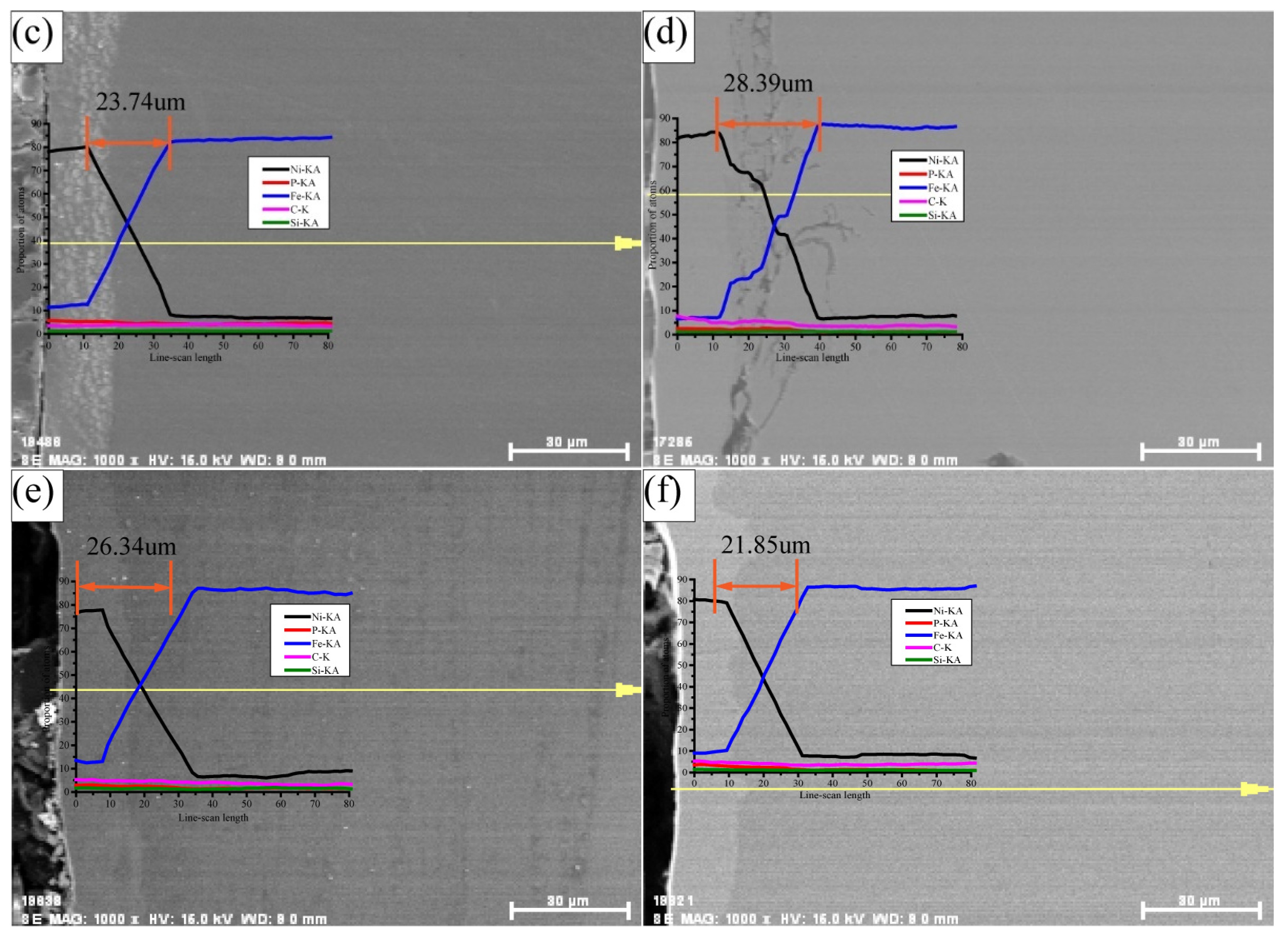 Coatings 11 01237 g004b