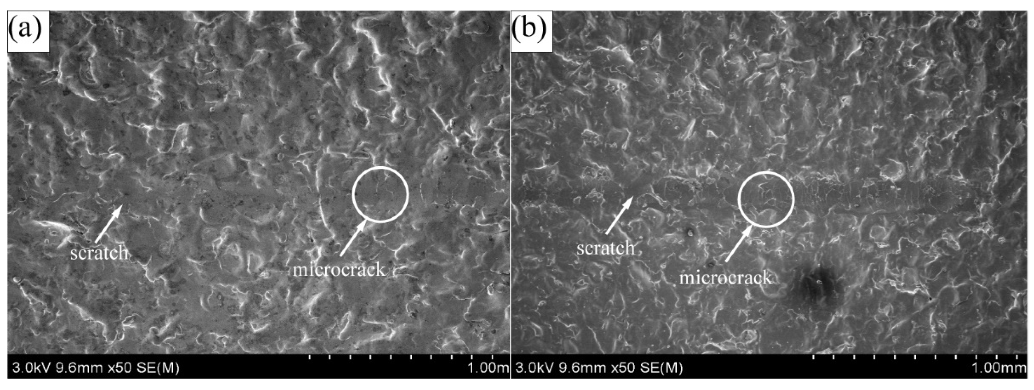 Coatings 11 01237 g008a