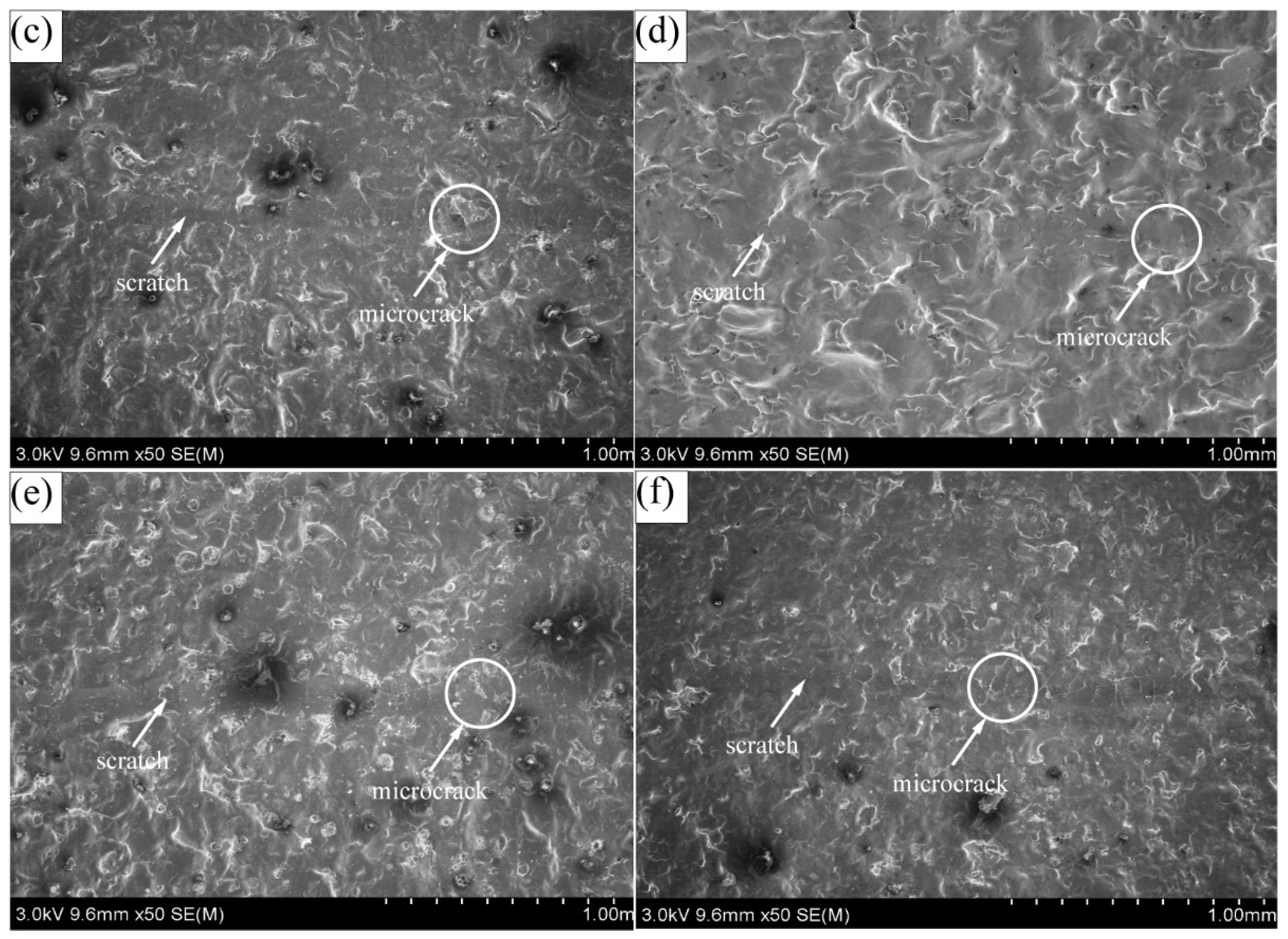 Coatings 11 01237 g008b