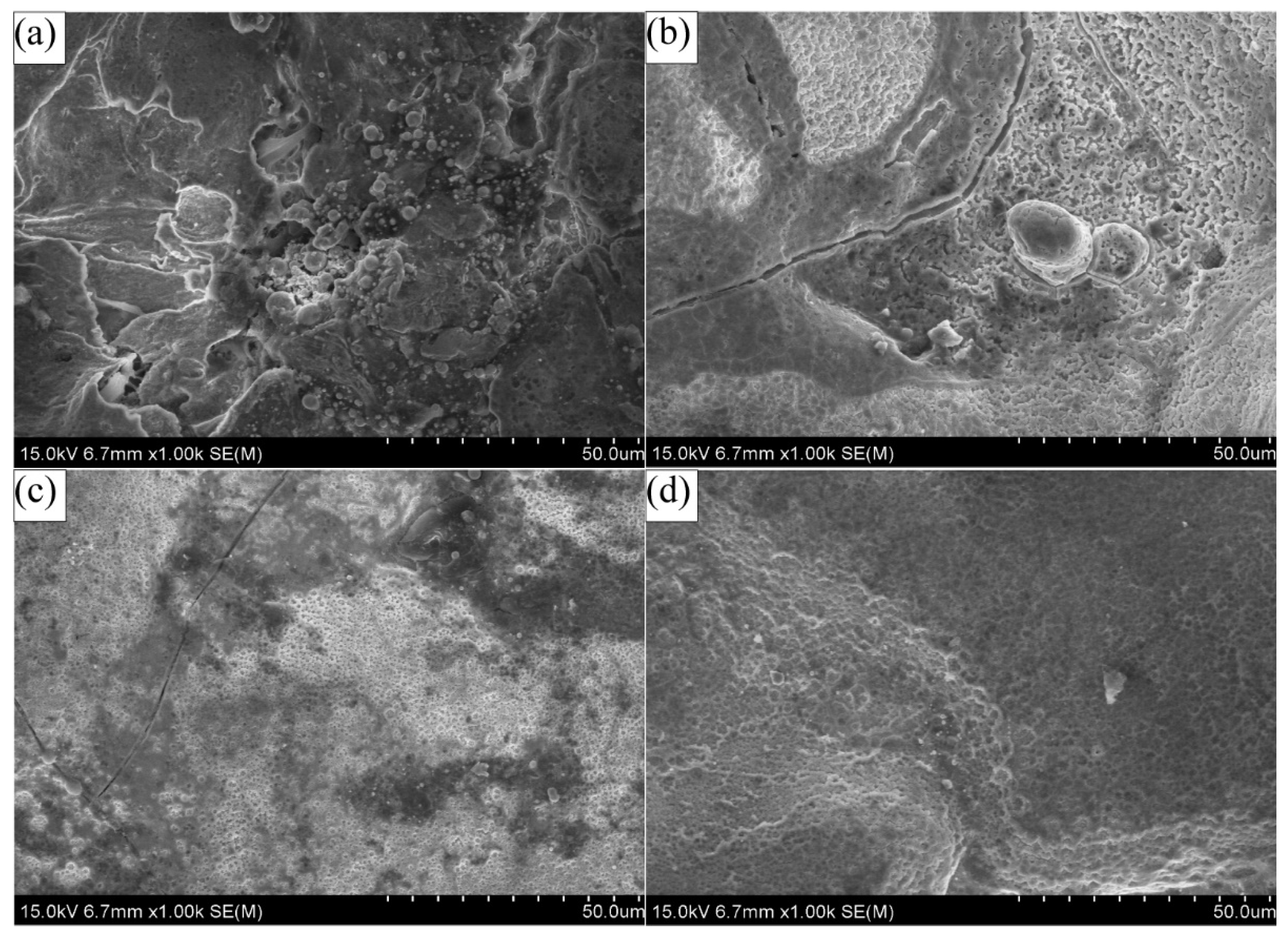 Coatings 11 01237 g013a