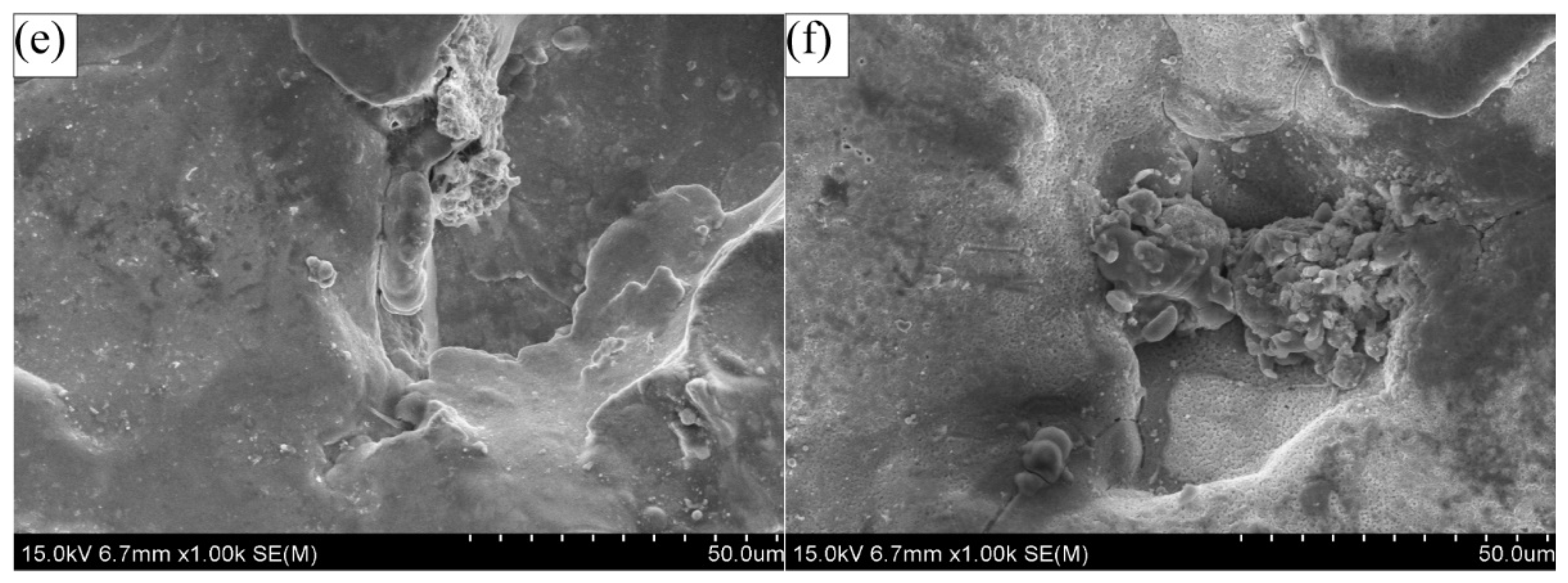 Coatings 11 01237 g013b