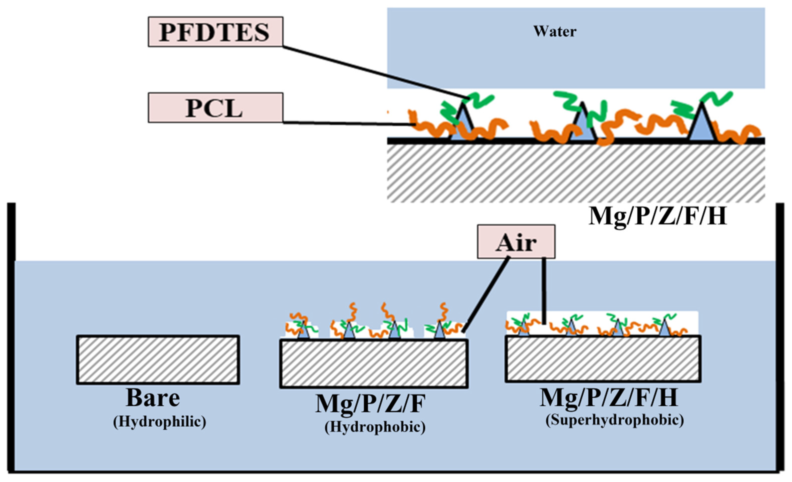 Coatings 11 01239 g007