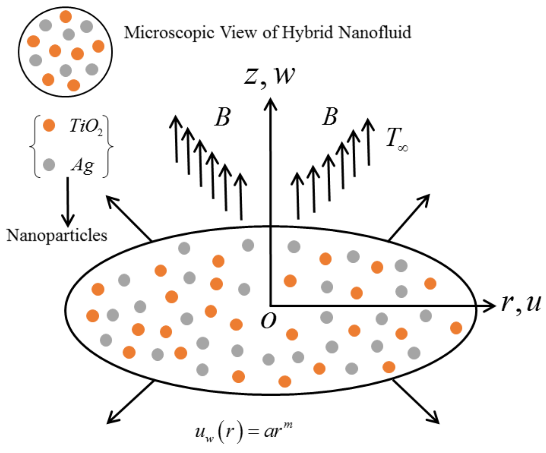 Coatings 11 01242 g001