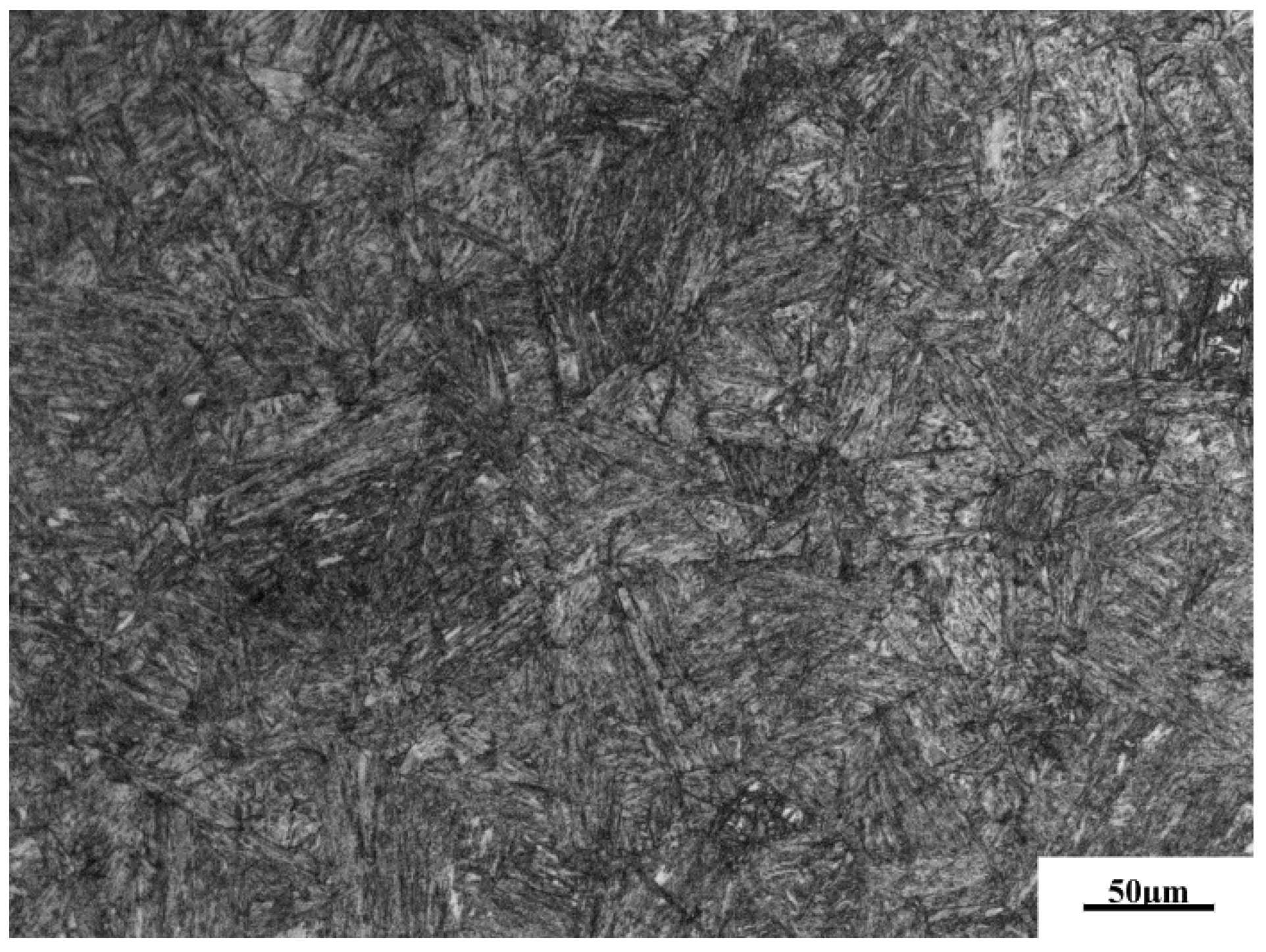 Coatings 11 01244 g001