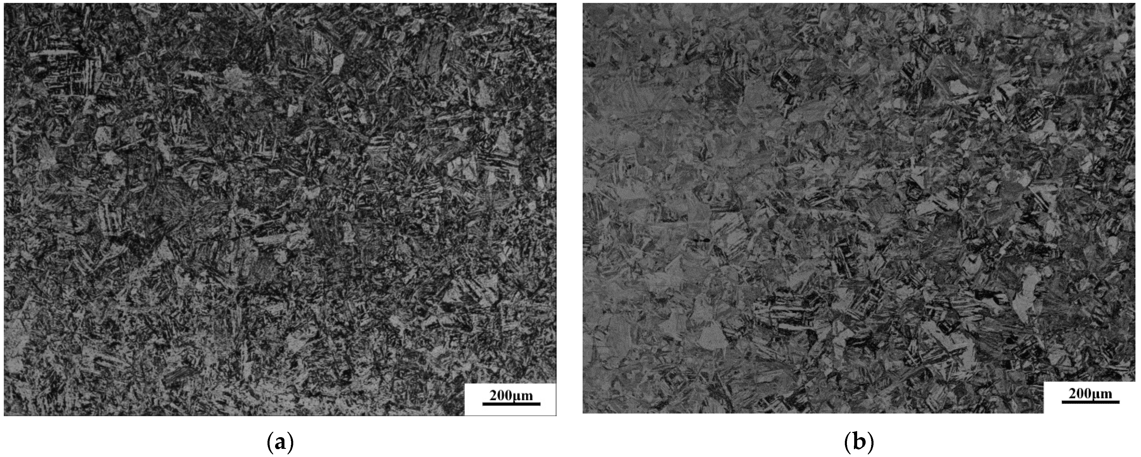 Coatings 11 01244 g002