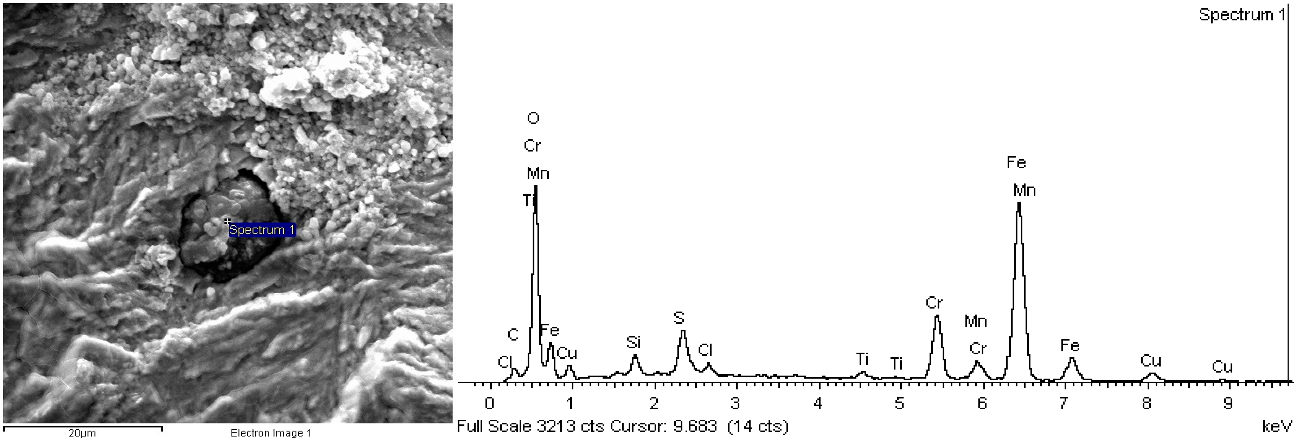 Coatings 11 01244 g008