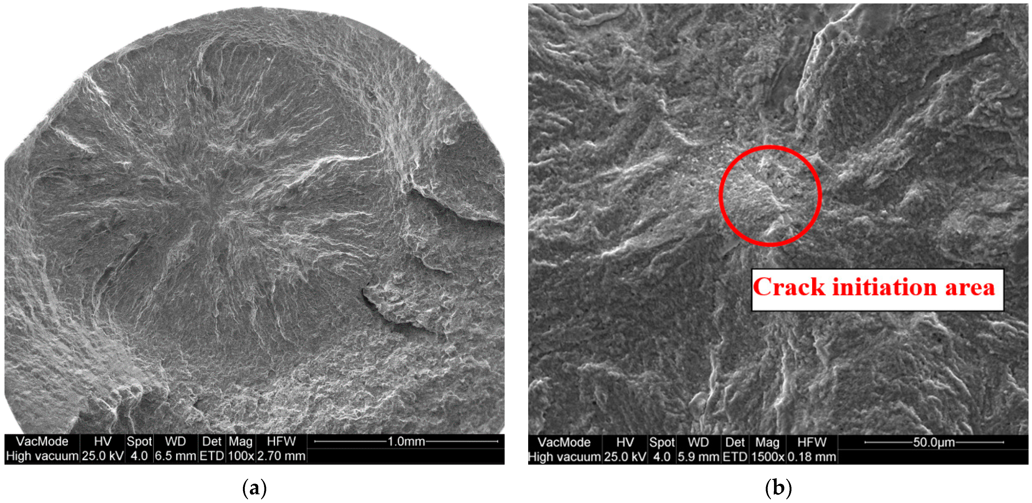 Coatings 11 01244 g009