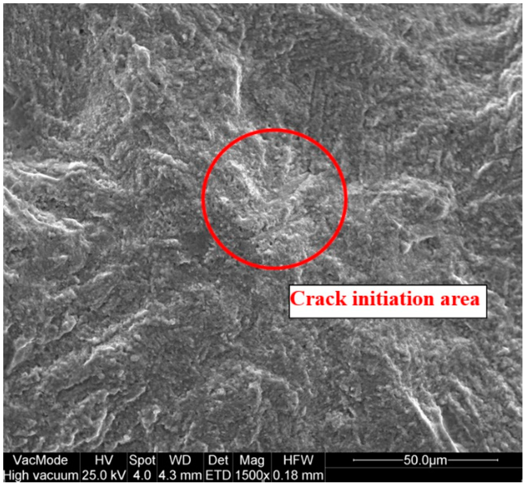 Coatings 11 01244 g010