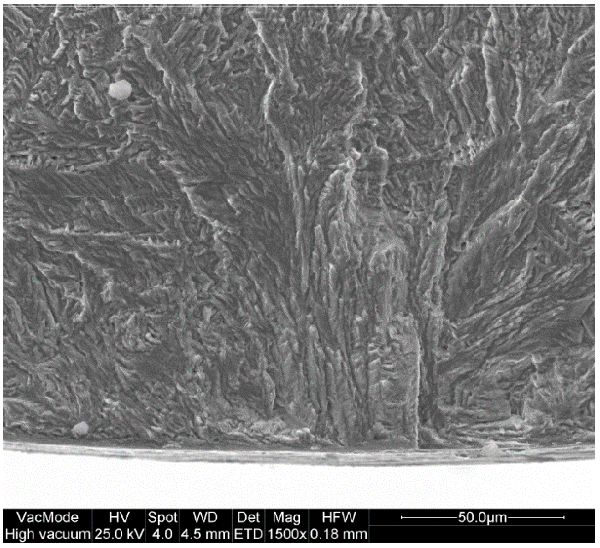 Coatings 11 01244 g011