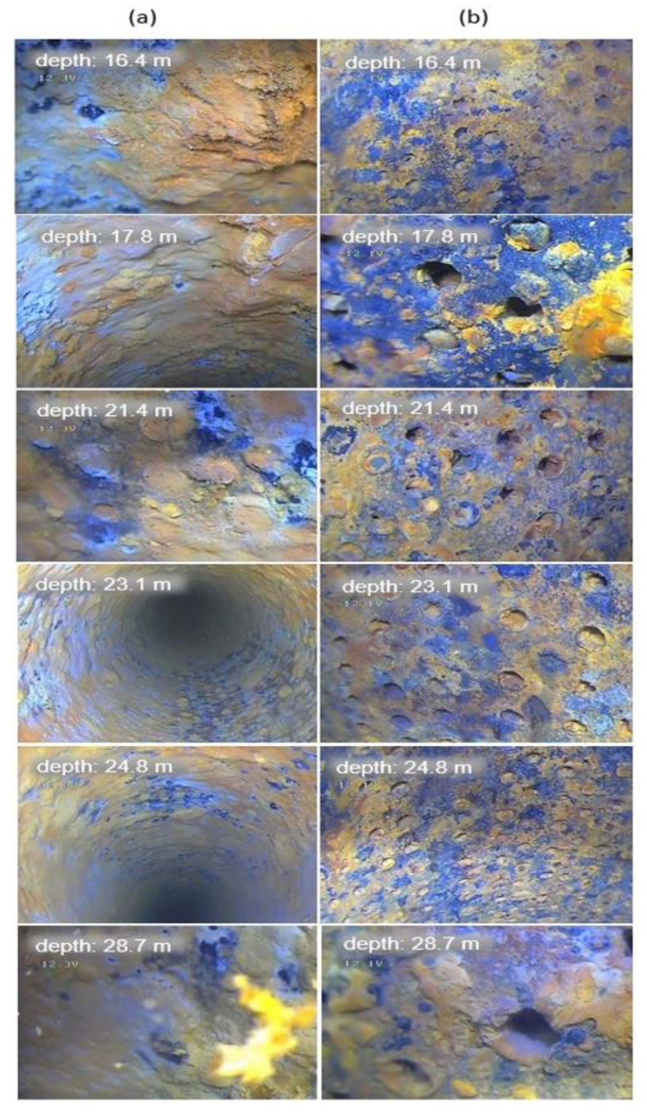 Coatings 11 01250 g008 Coatings 11 01250 g008