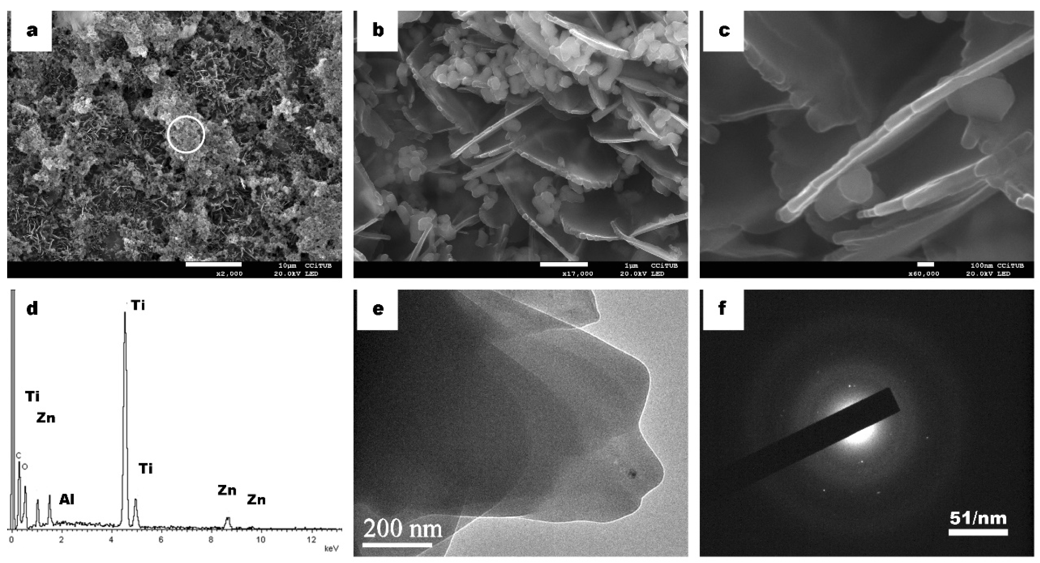 Coatings 11 01258 g001