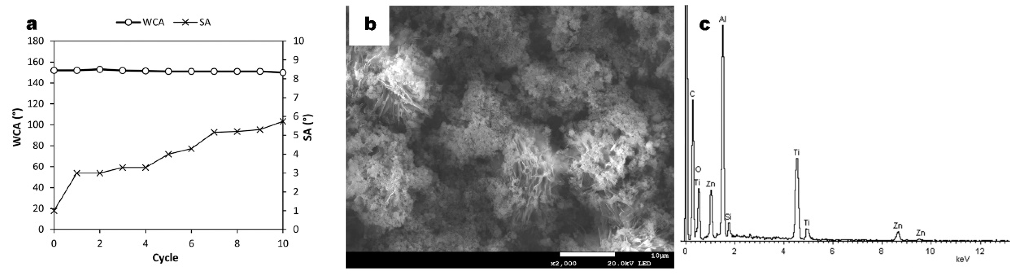 Coatings 11 01258 g006