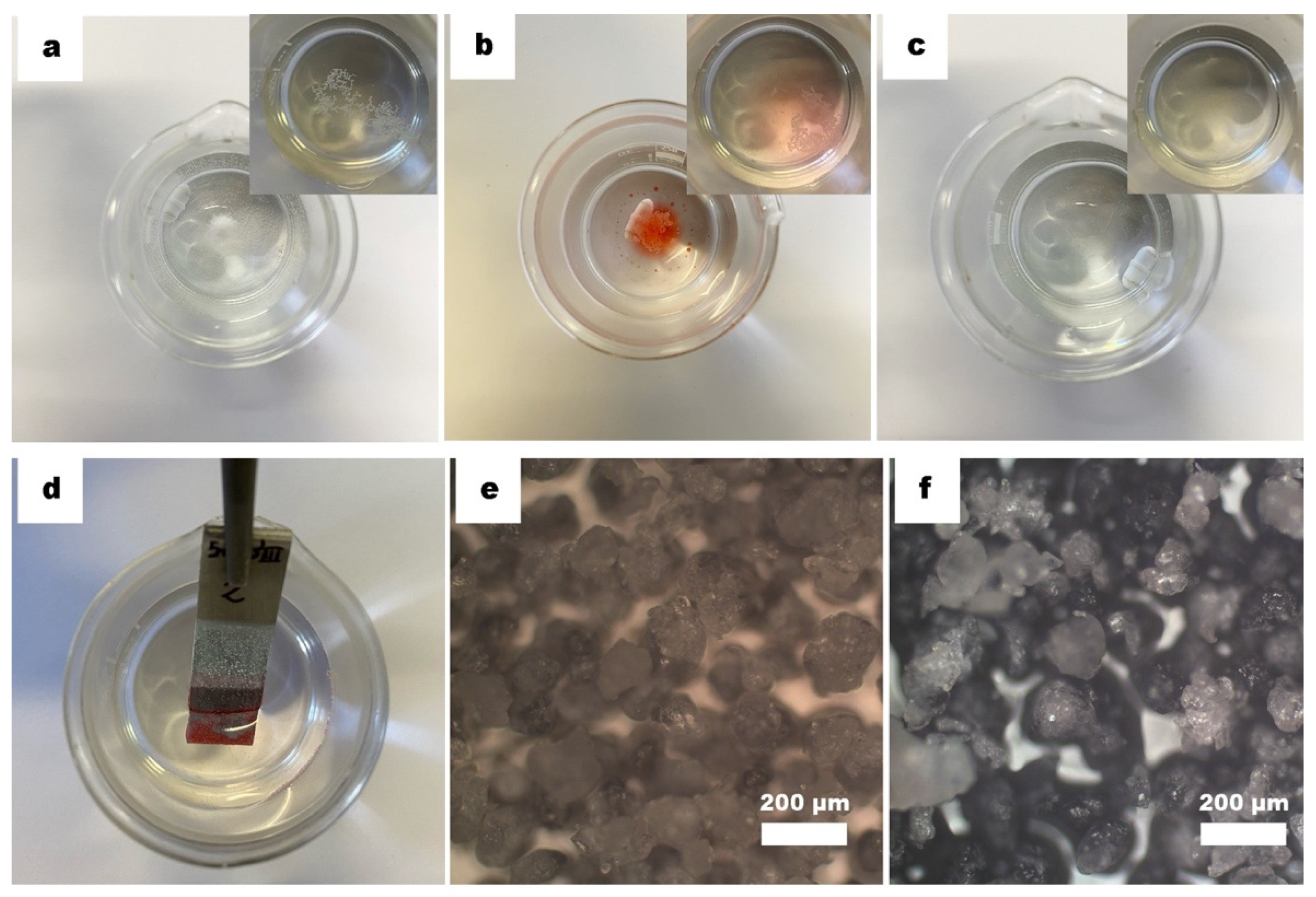 Coatings 11 01258 g007