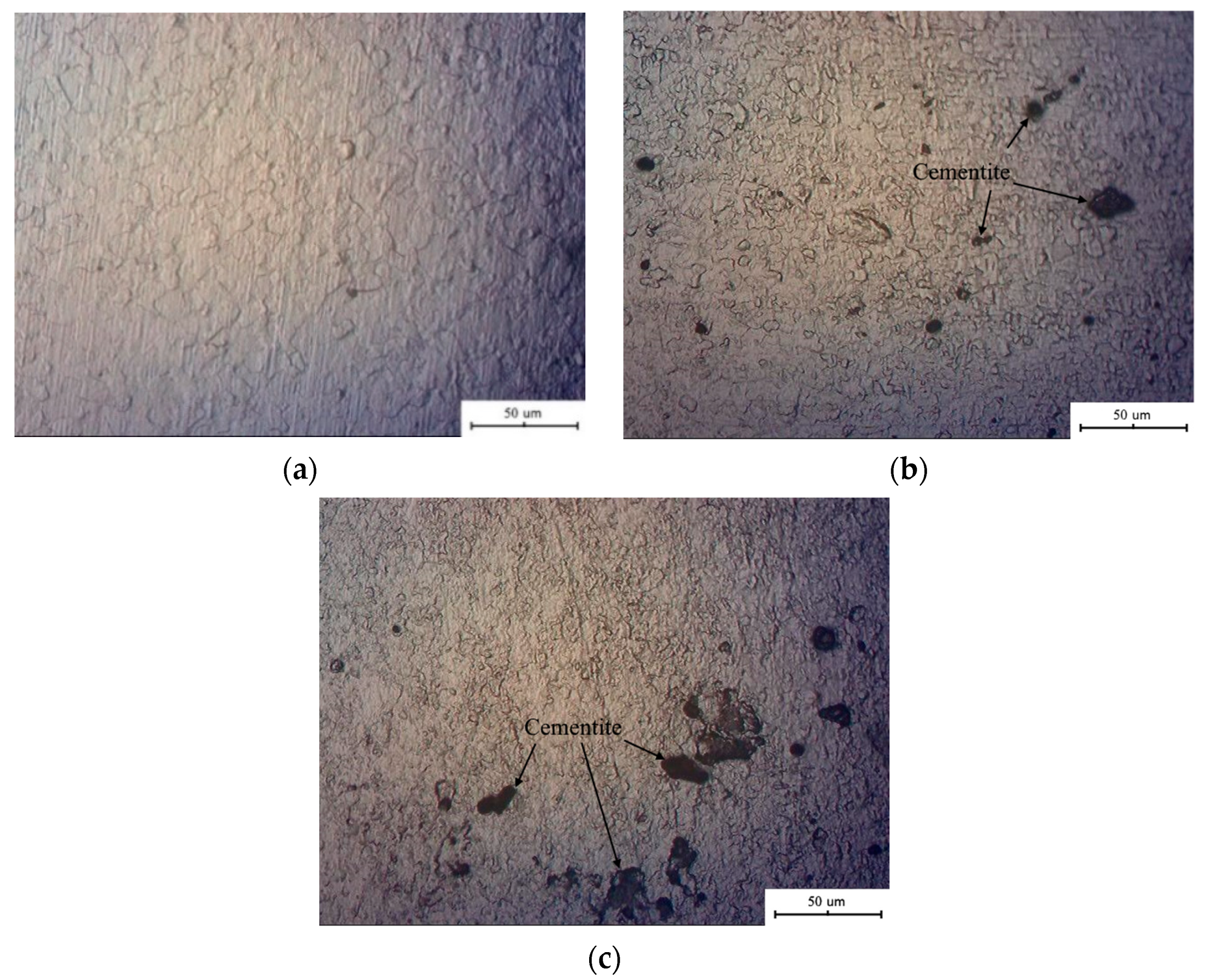 Coatings 11 01260 g003